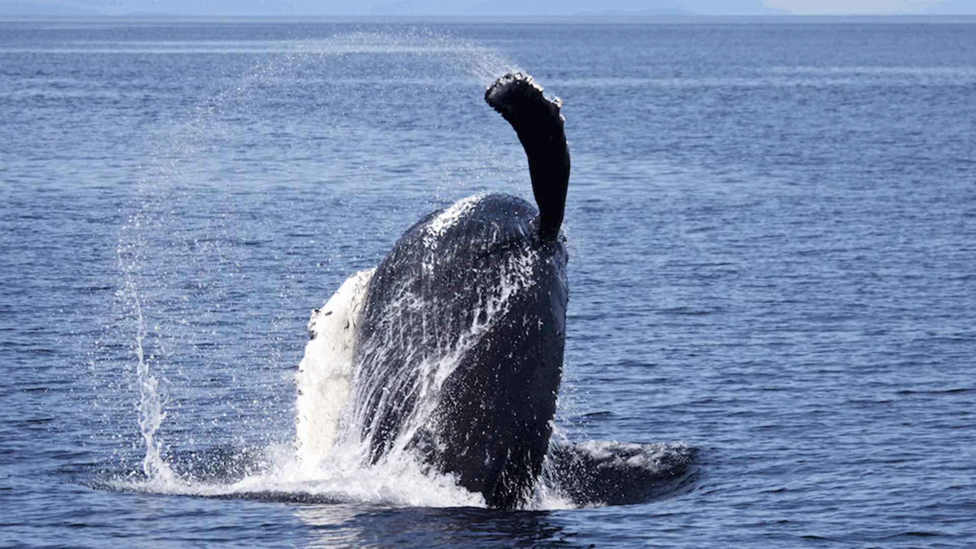 Hatteras Yachts 70 Motor Yacht in Seattle, WA — photo 2