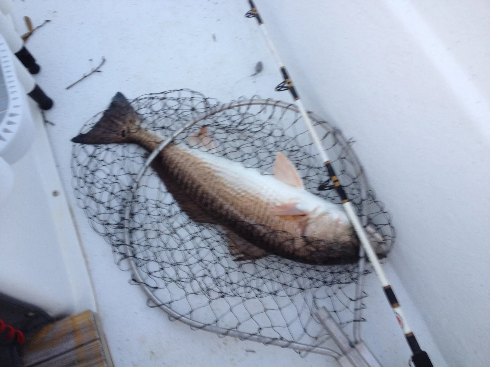 Carolina Skiff 1980 in Gulf Breeze, FL — photo 4