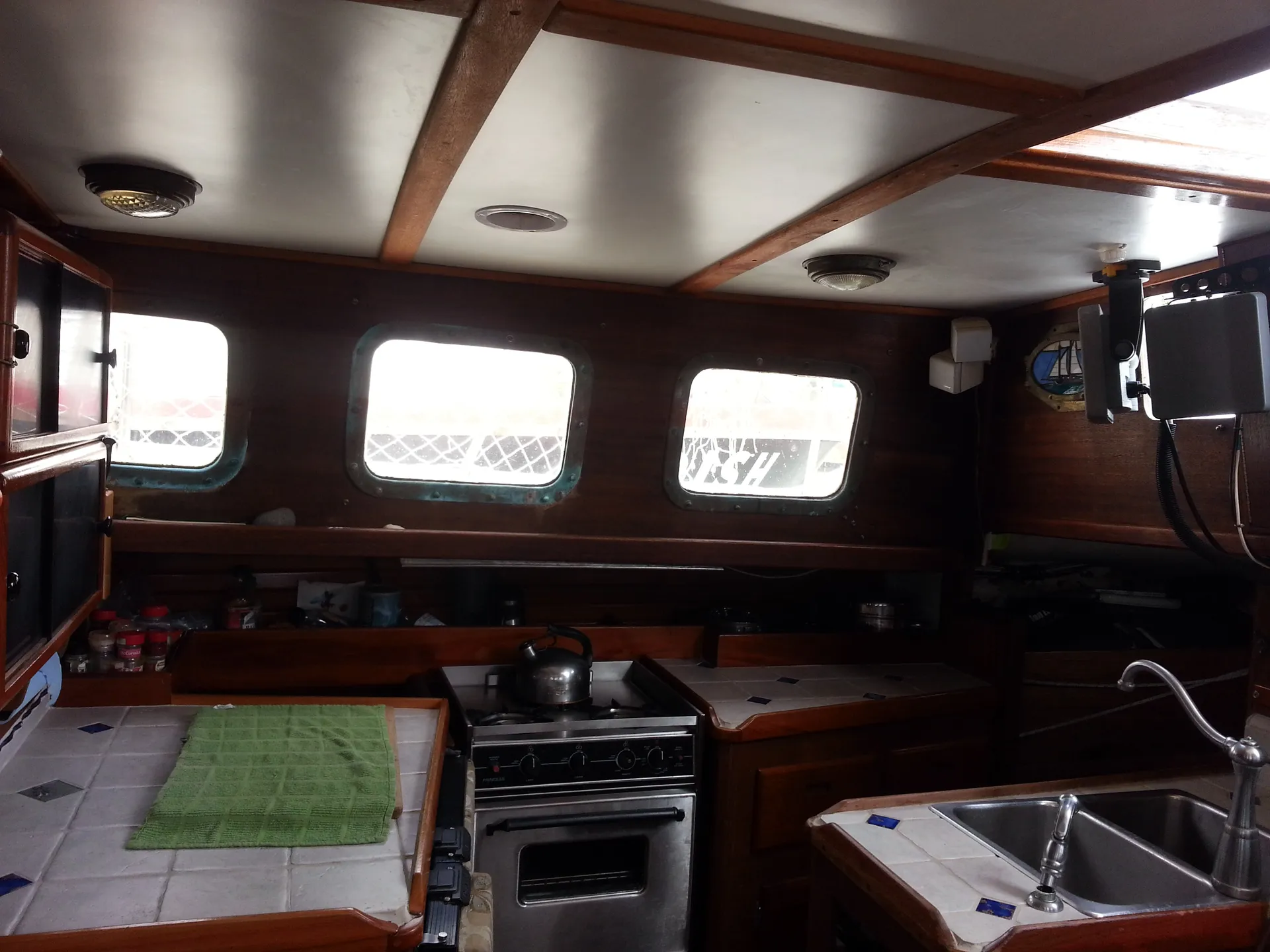 Wildlife Sailing Tour on the Monterey Bay