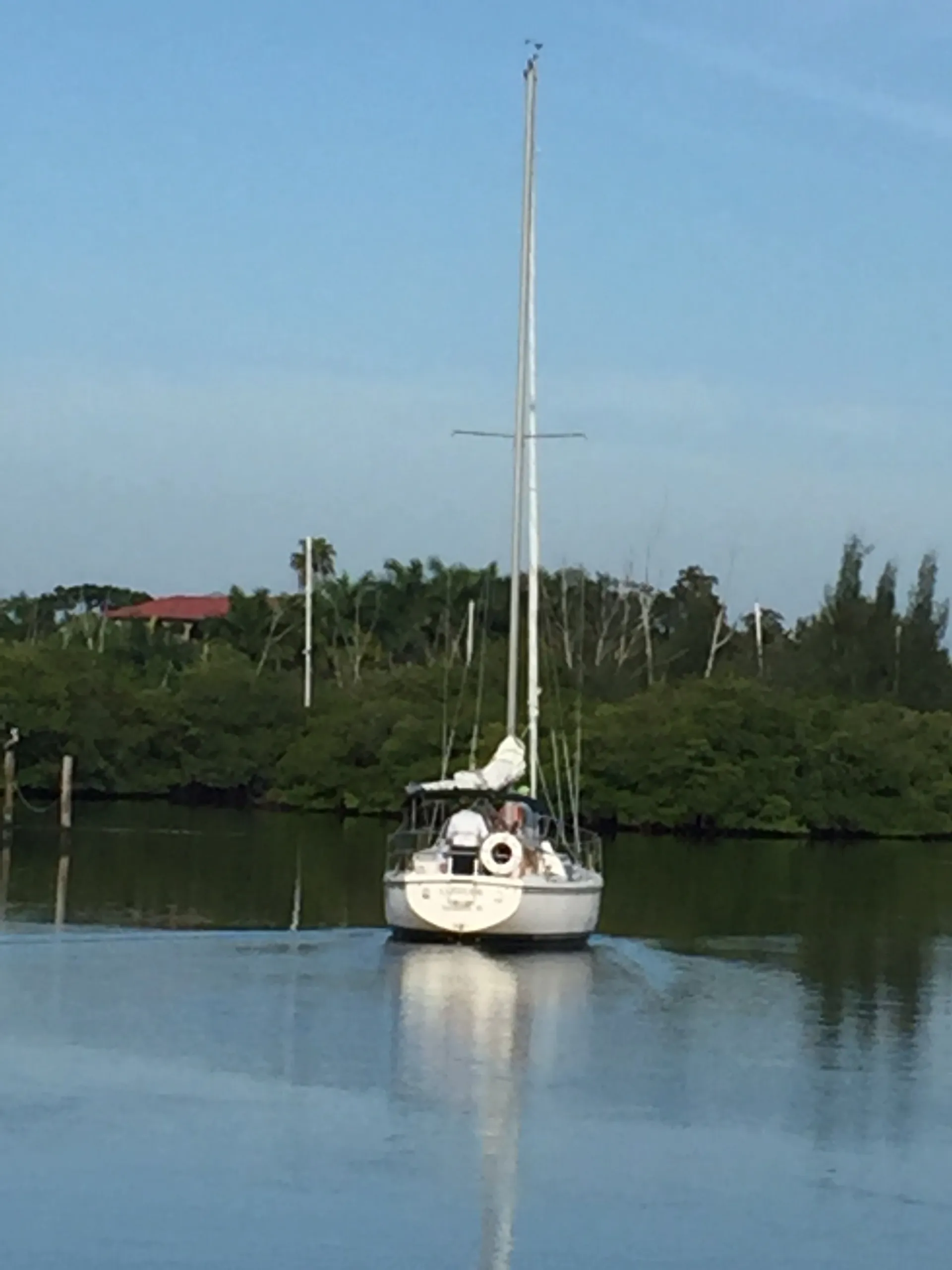 Catalina 30 Wing in Sarasota, FL — photo 7