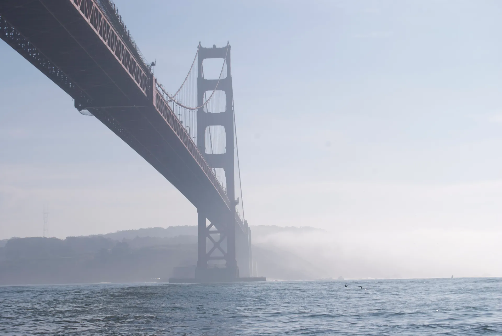 Sail beautiful SF bay with your own Capt. Memo