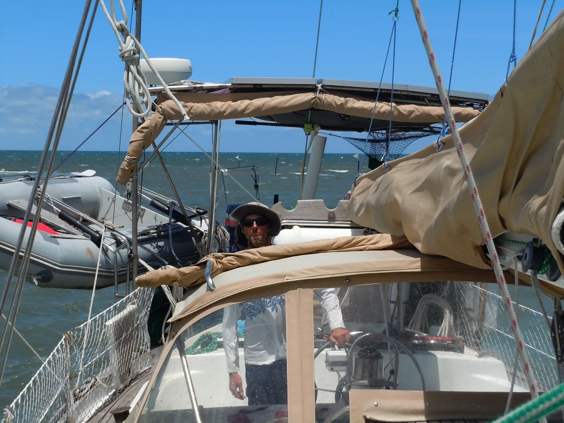 Wildlife Sailing Tour on the Monterey Bay