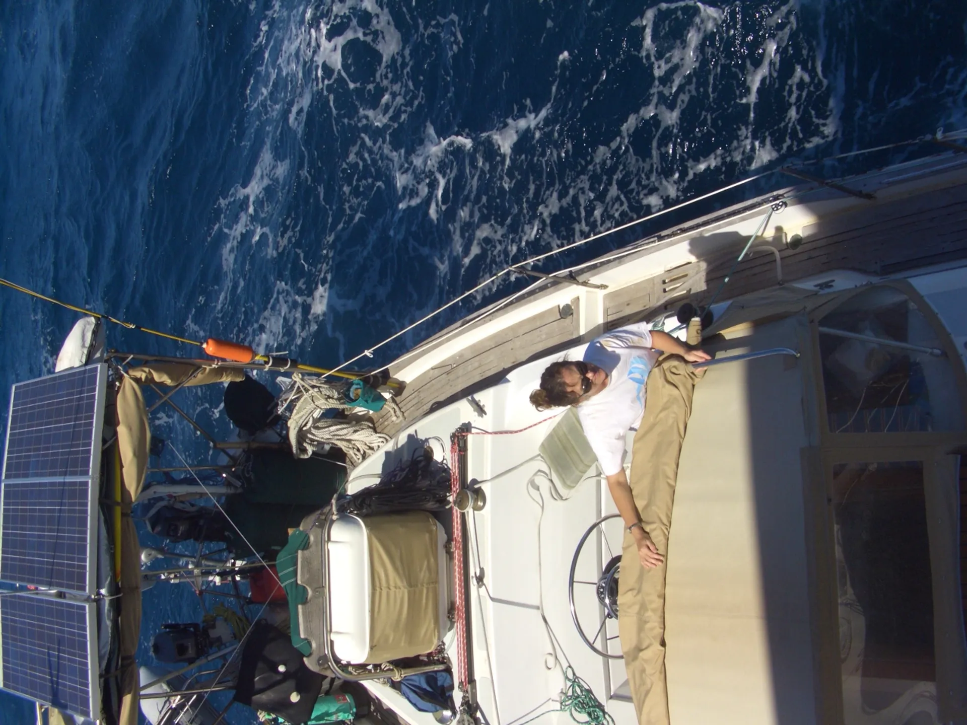 Wildlife Sailing Tour on the Monterey Bay