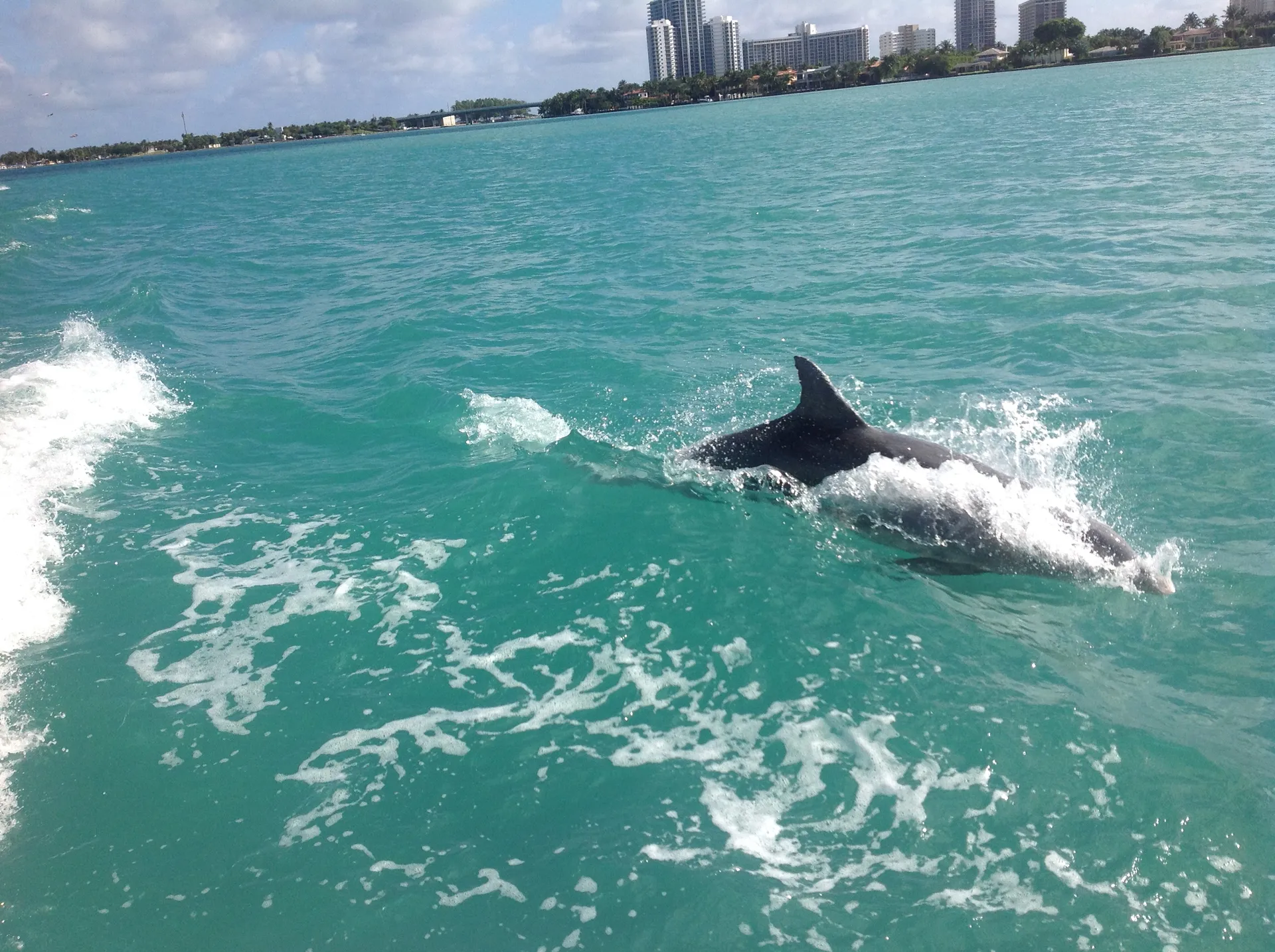 Bachelorette, birthday parties & family cruises