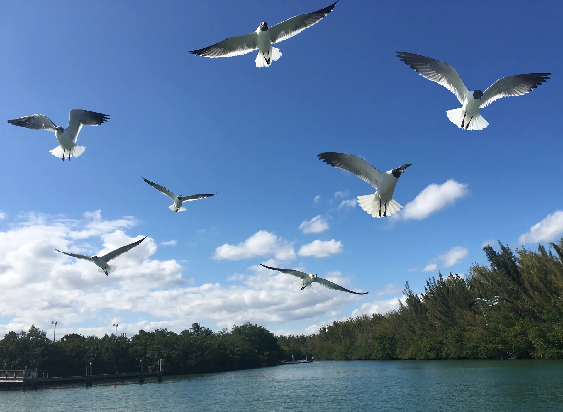 Day of Fun -In -The -Sun by Boat!