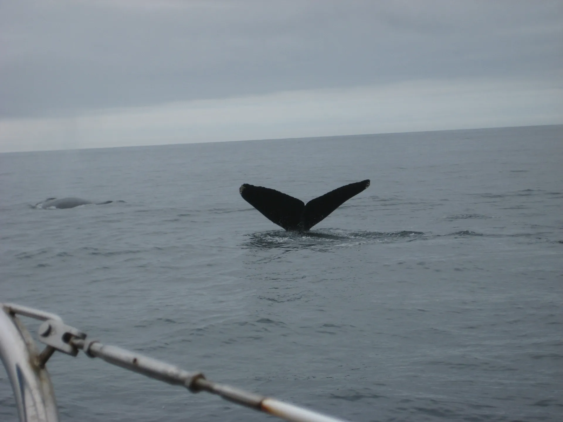 Safe &amp; solid sailing catamaran - Green power! Great location!