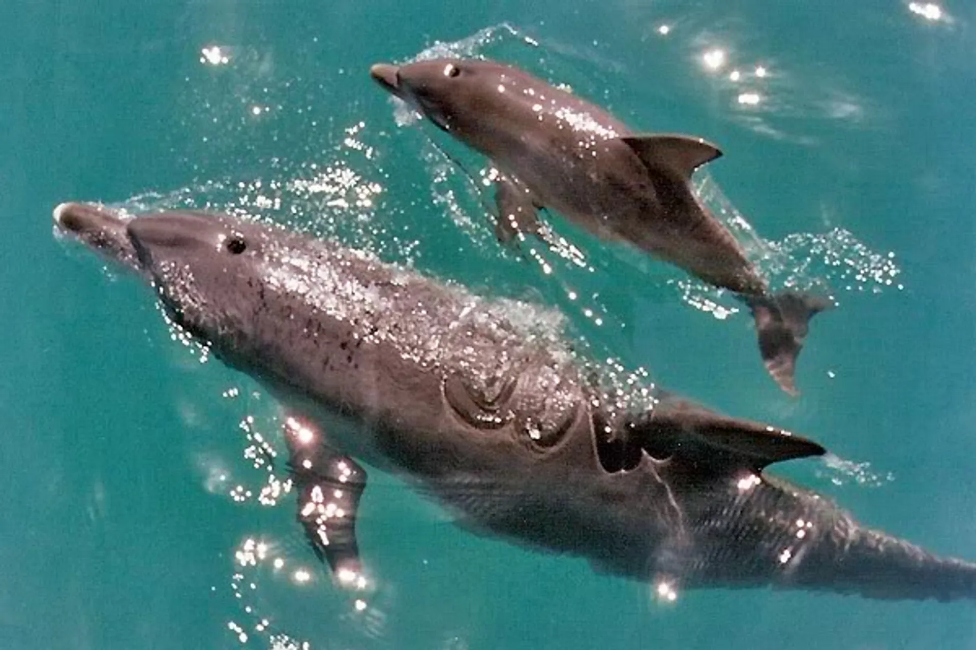 Day of Fun -In -The -Sun by Boat!