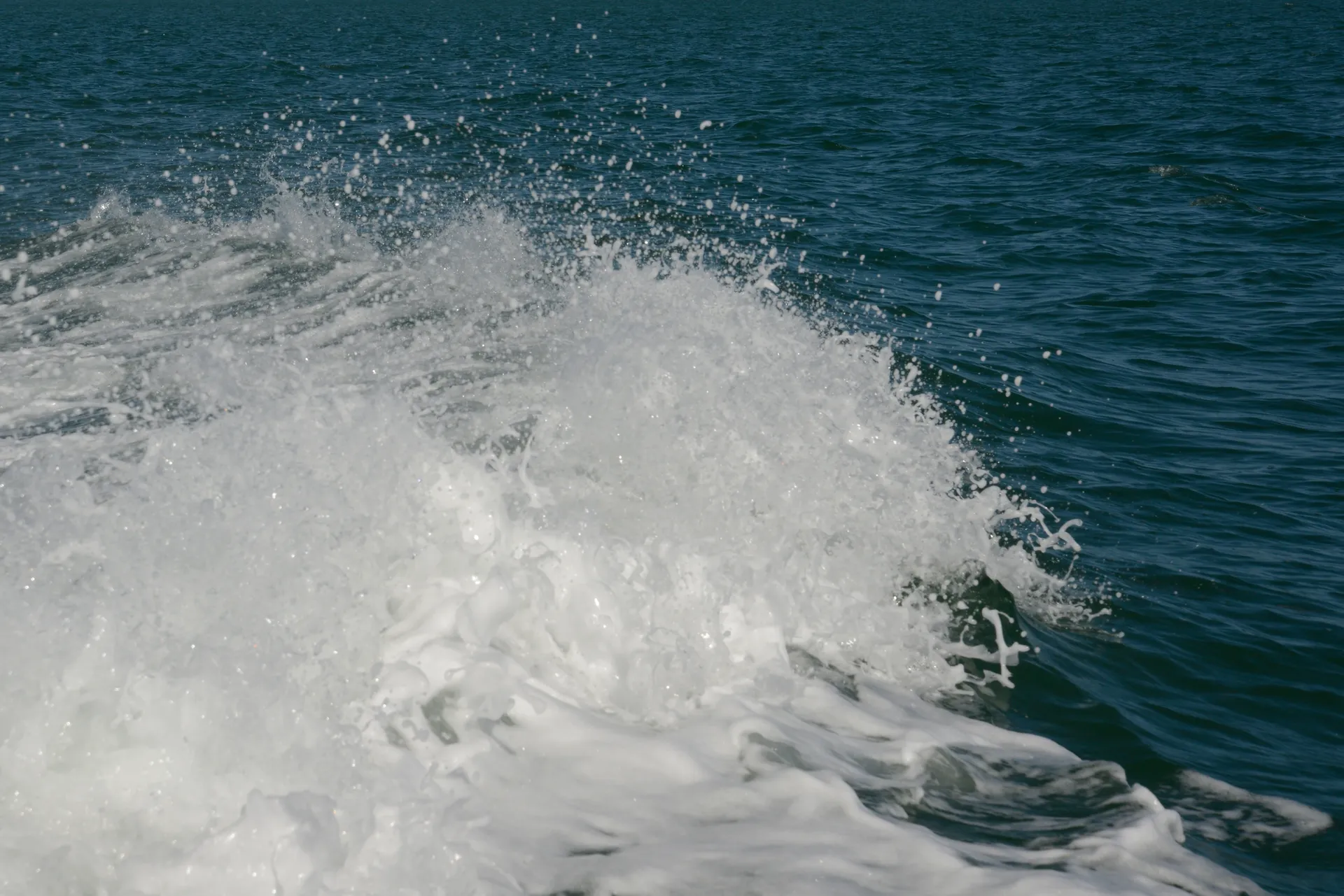 Day of Fun -In -The -Sun by Boat!