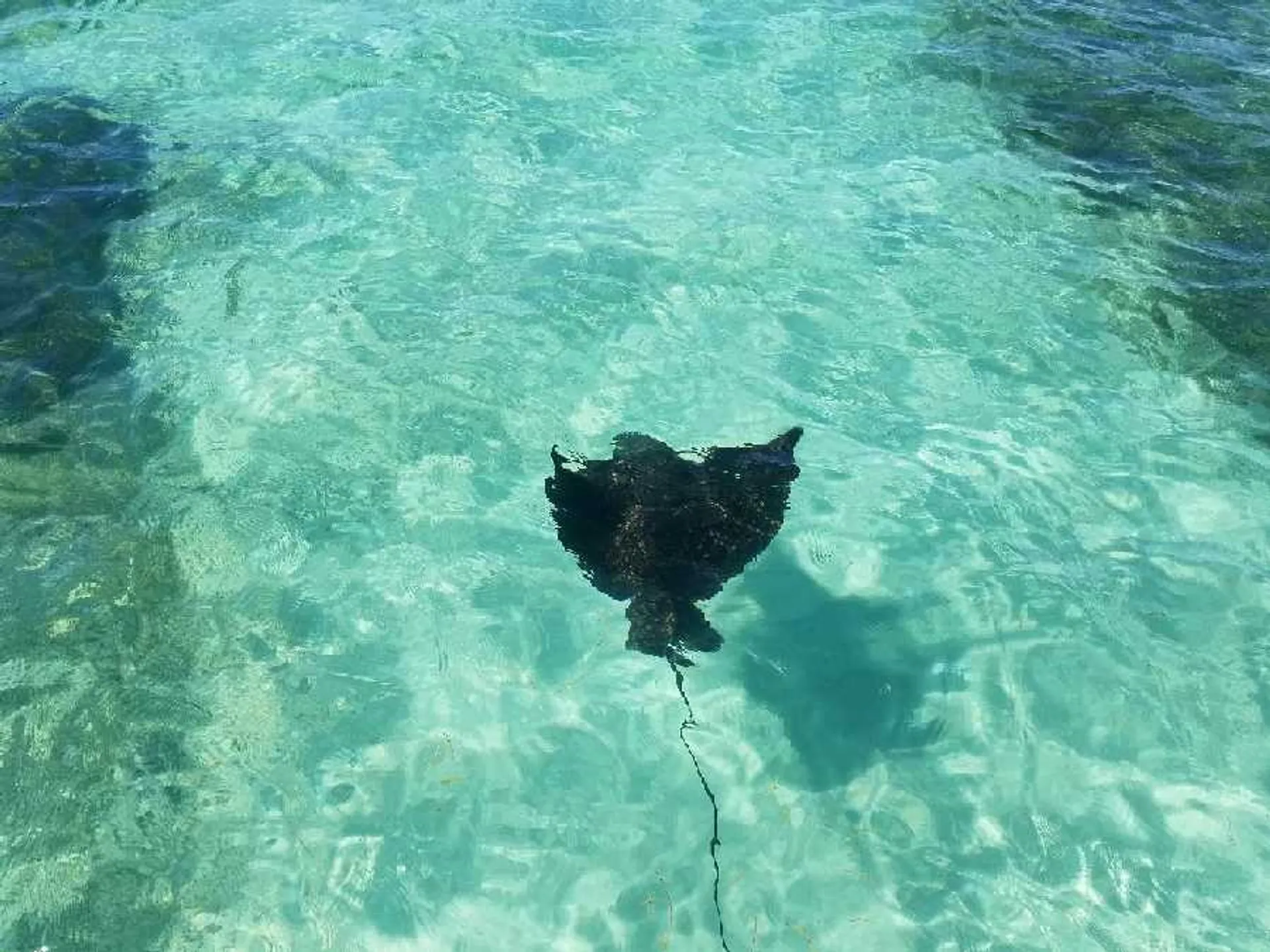 Caribe Inflatables DL-20 Deluxe in Ponce, Peñuelas — photo 8