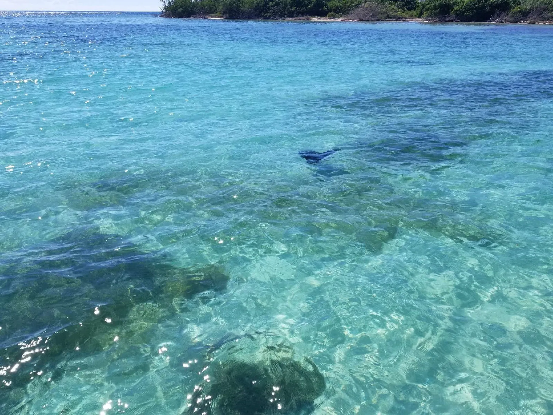 Caribe Inflatables DL-20 Deluxe in Ponce, Peñuelas — photo 9