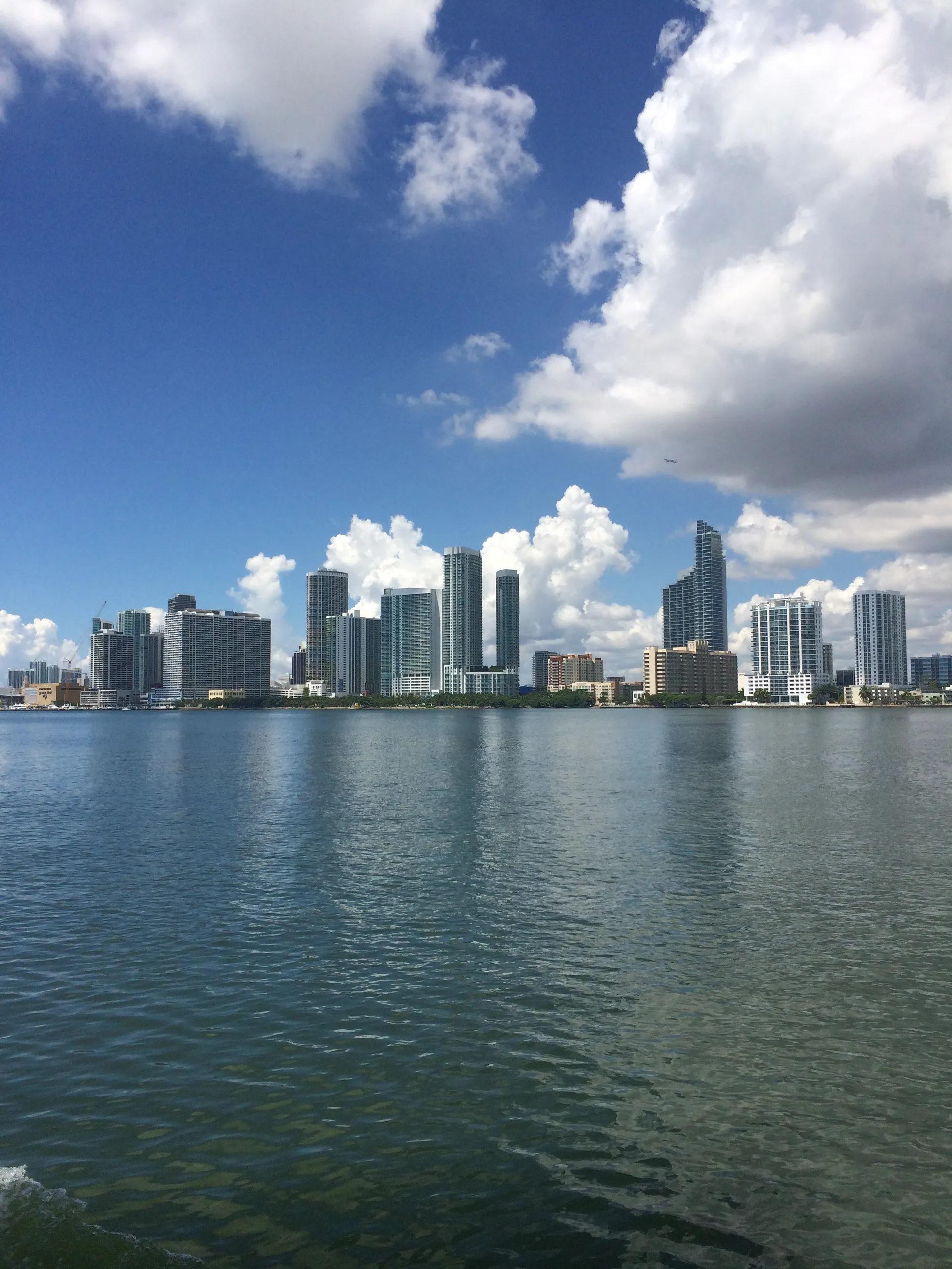 Hunter 31 in Miami, FL — photo 8