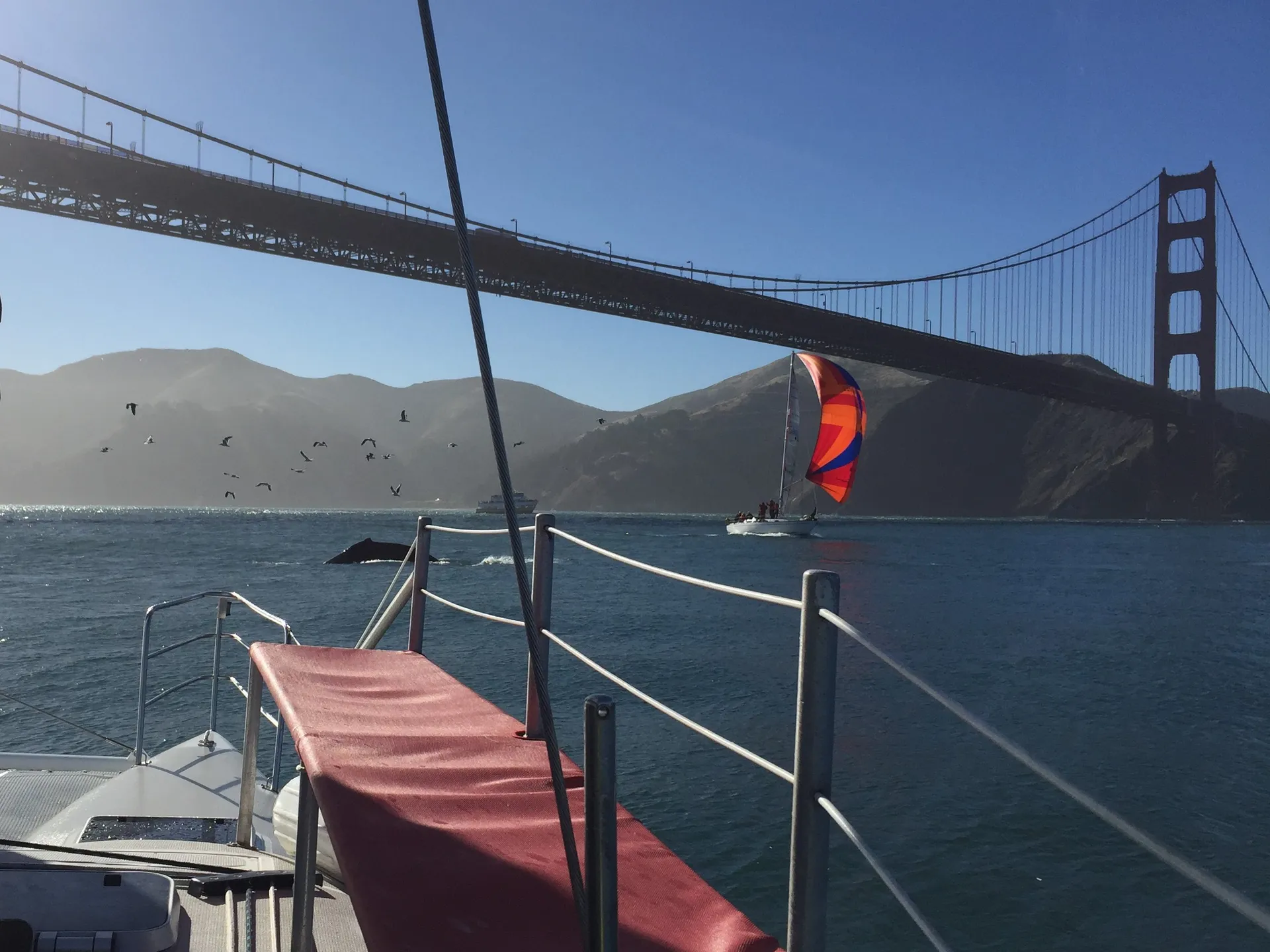 Safe &amp; solid sailing catamaran - Green power! Great location!