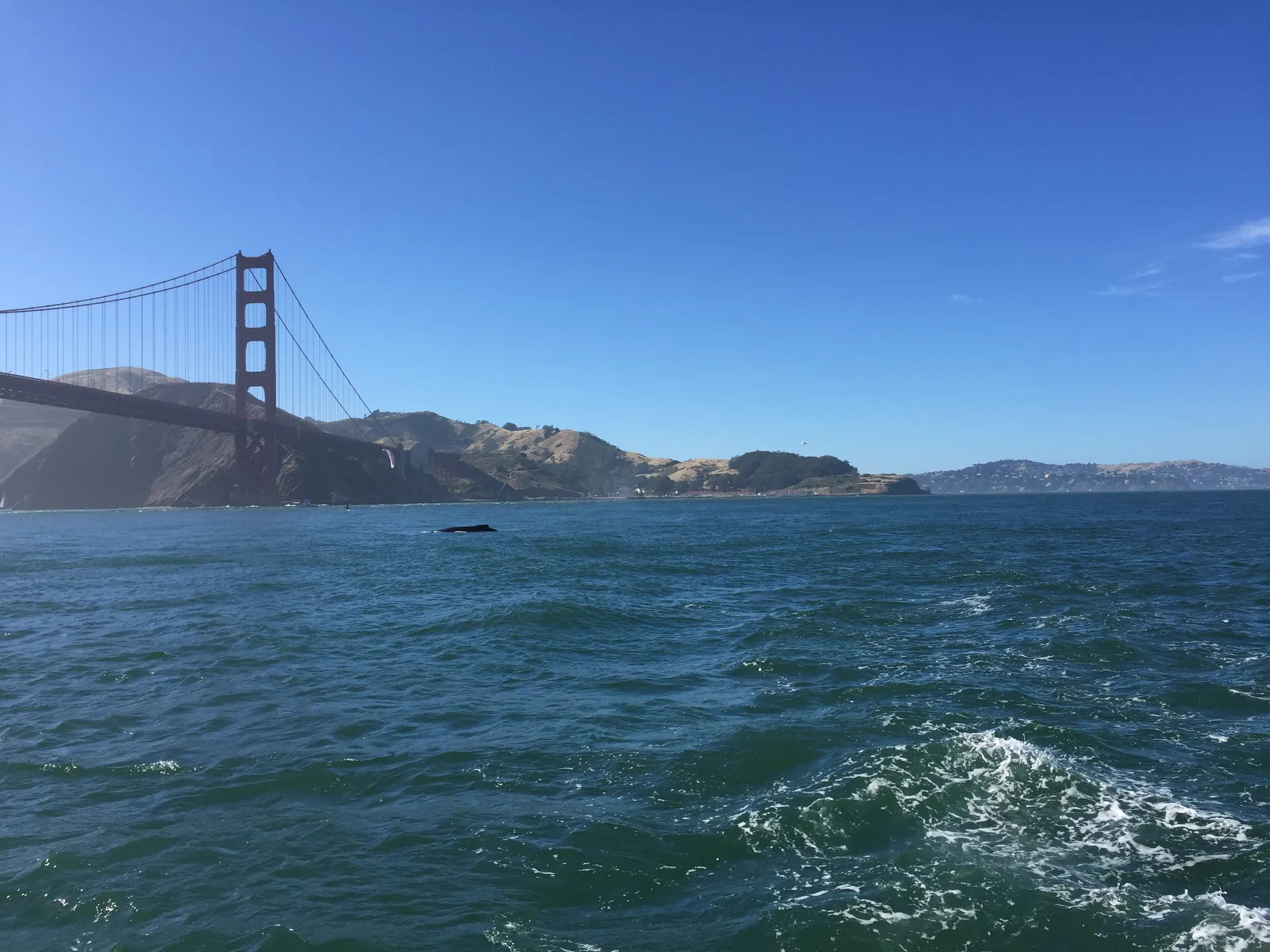 Safe &amp; solid sailing catamaran - Green power! Great location!