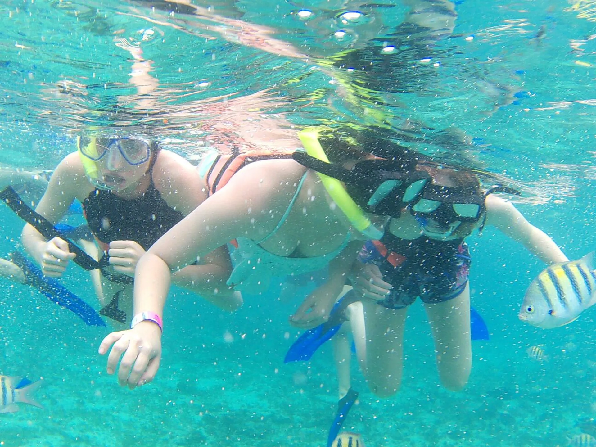 Catamaran Cruisers Aqua Cruiser in Cancún, Quintana Roo — photo 9