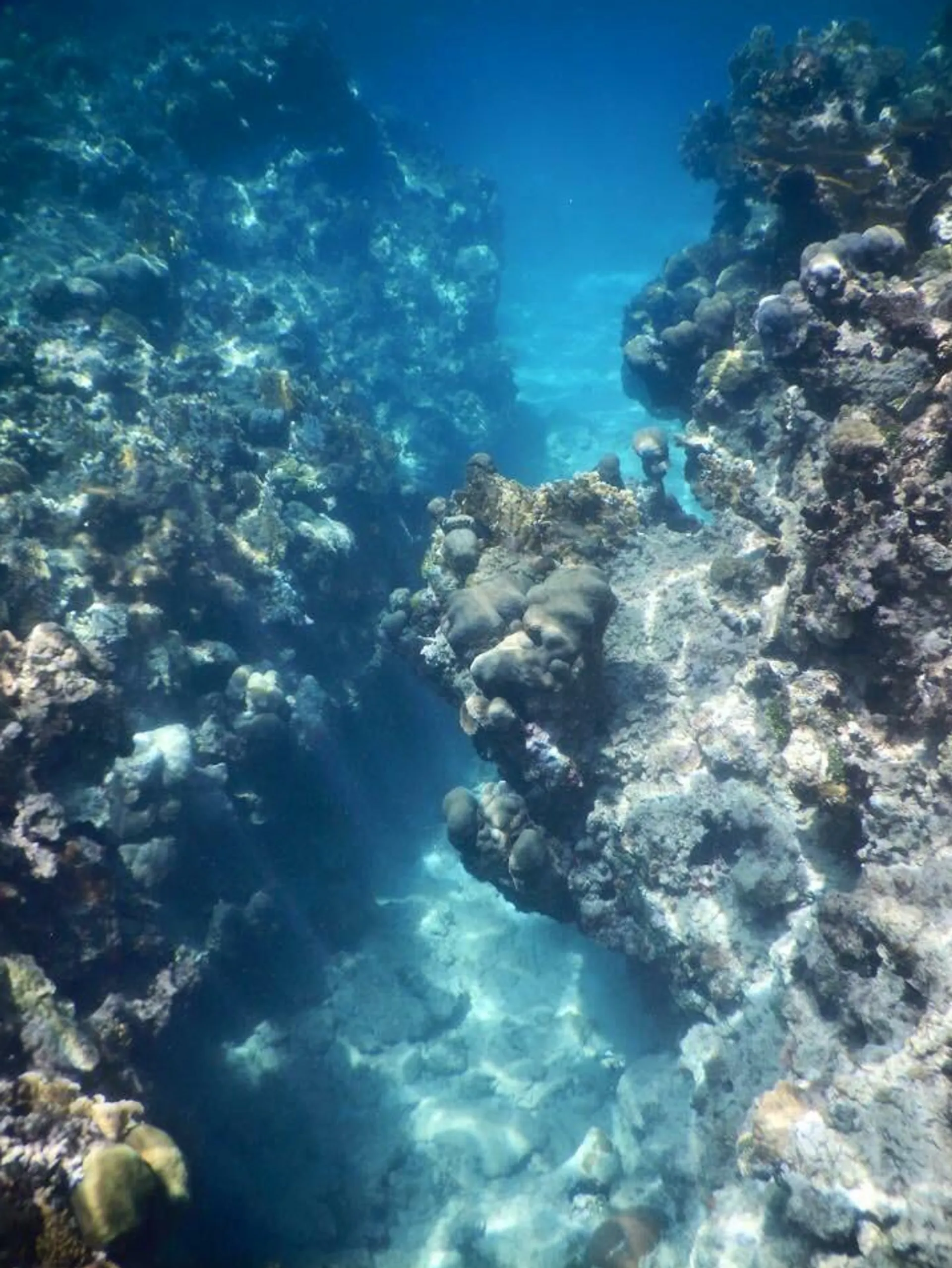 Robertson And Caine 4300 in Montego Bay, St. James Parish — photo 4