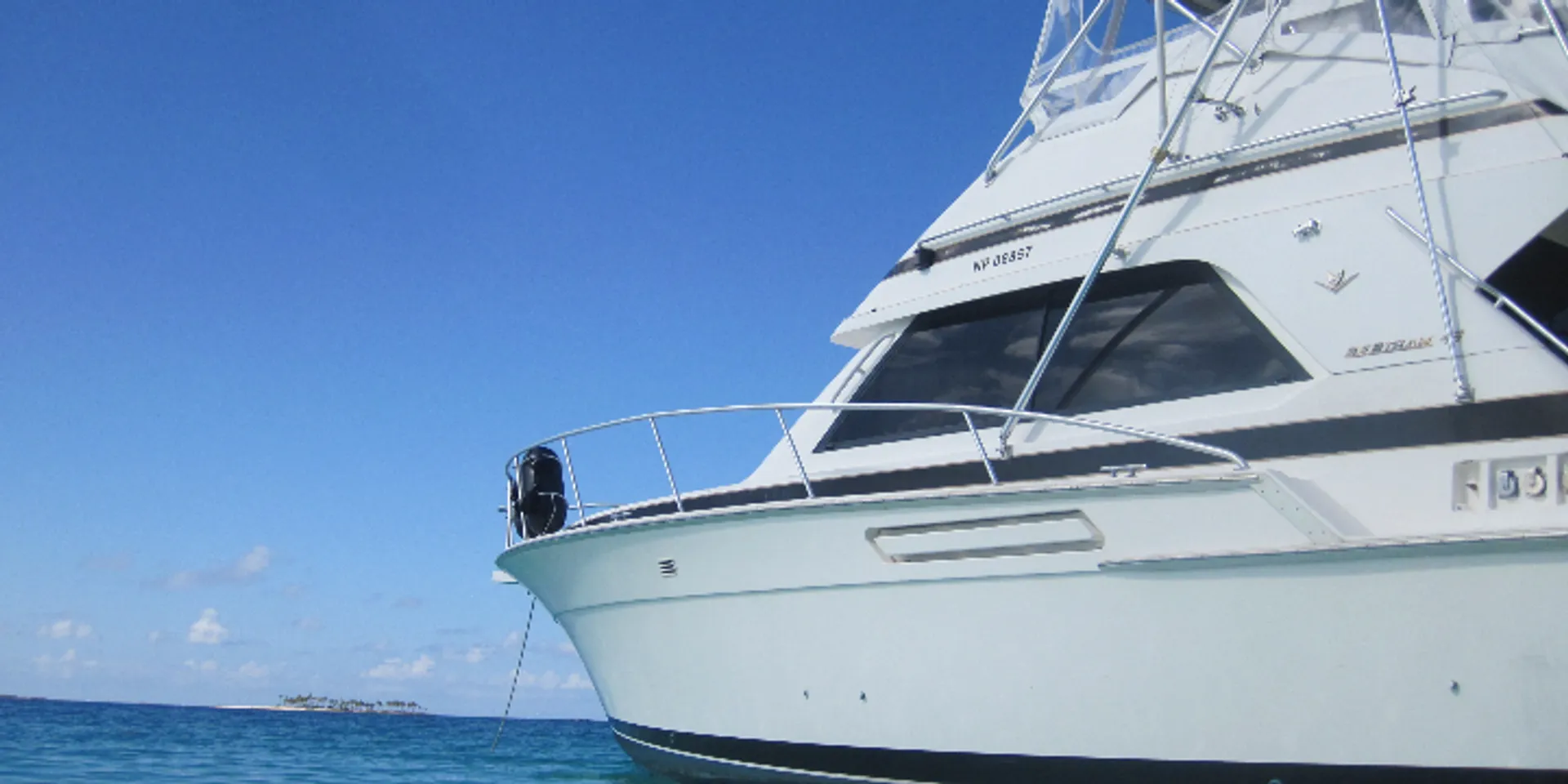 Snorkel/Fish  Bertram 43' "Strike Again"