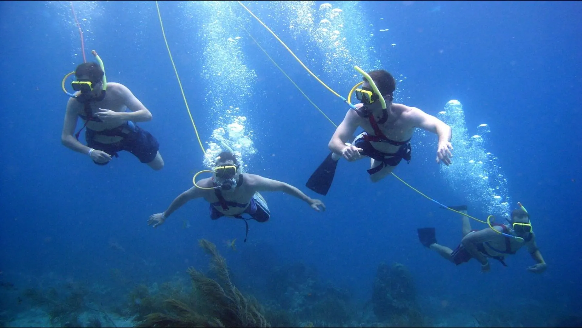 Sea Ray 60 Sundancer in null, George Town — photo 5