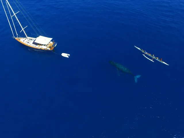 Rent a Beneteau sloop in Honolulu, HI near me