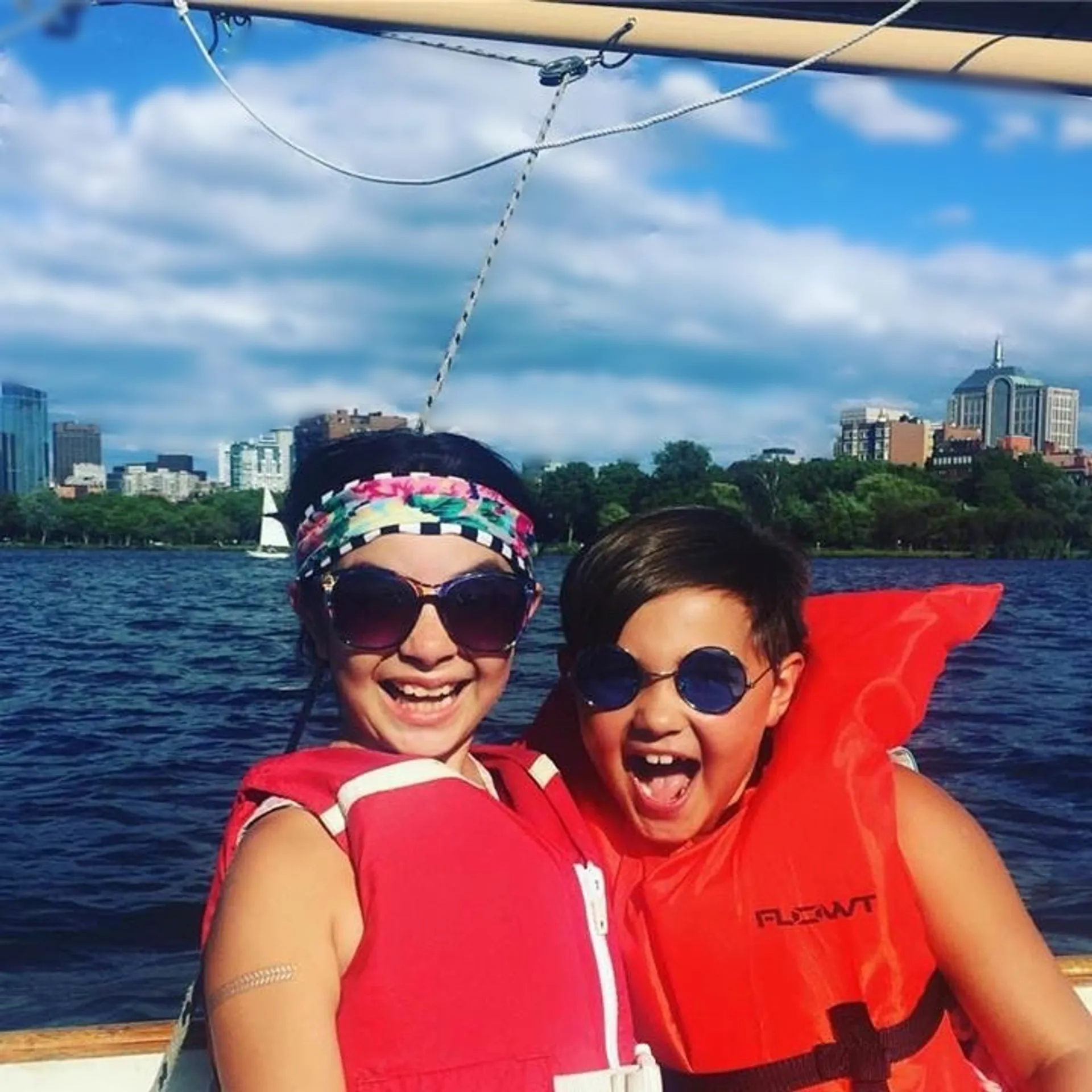 Lynx 16 in Cambridge, MA — photo 4