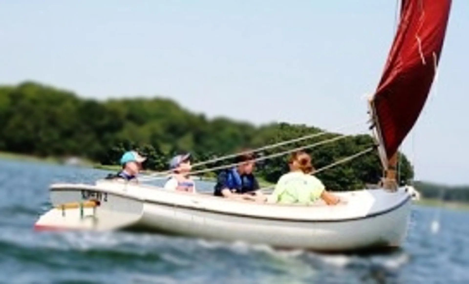 Lynx 16 in Cambridge, MA — photo 3