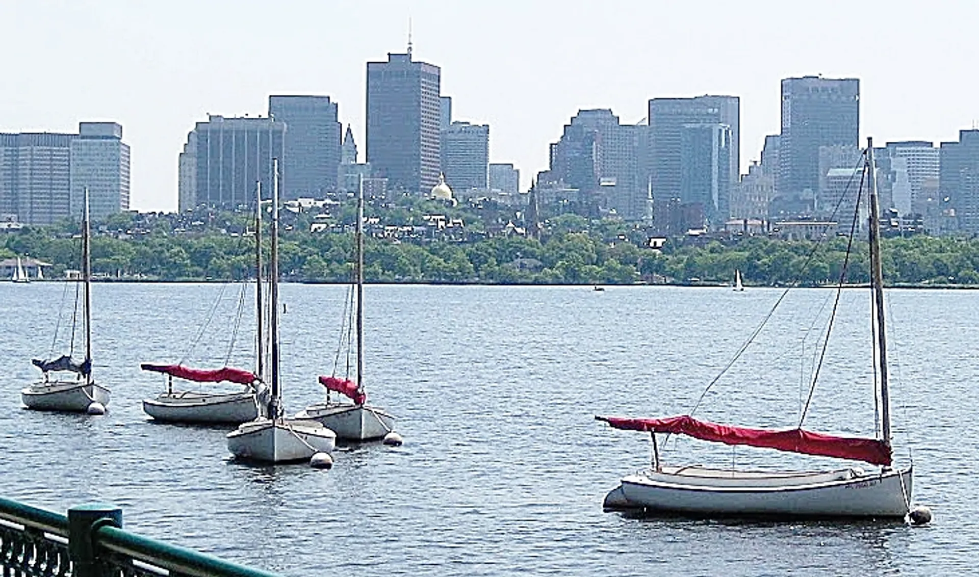 Lynx 16 in Cambridge, MA — photo 7