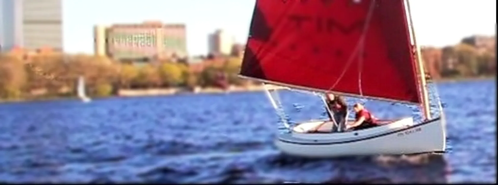 Lynx 16 in Cambridge, MA — photo 10