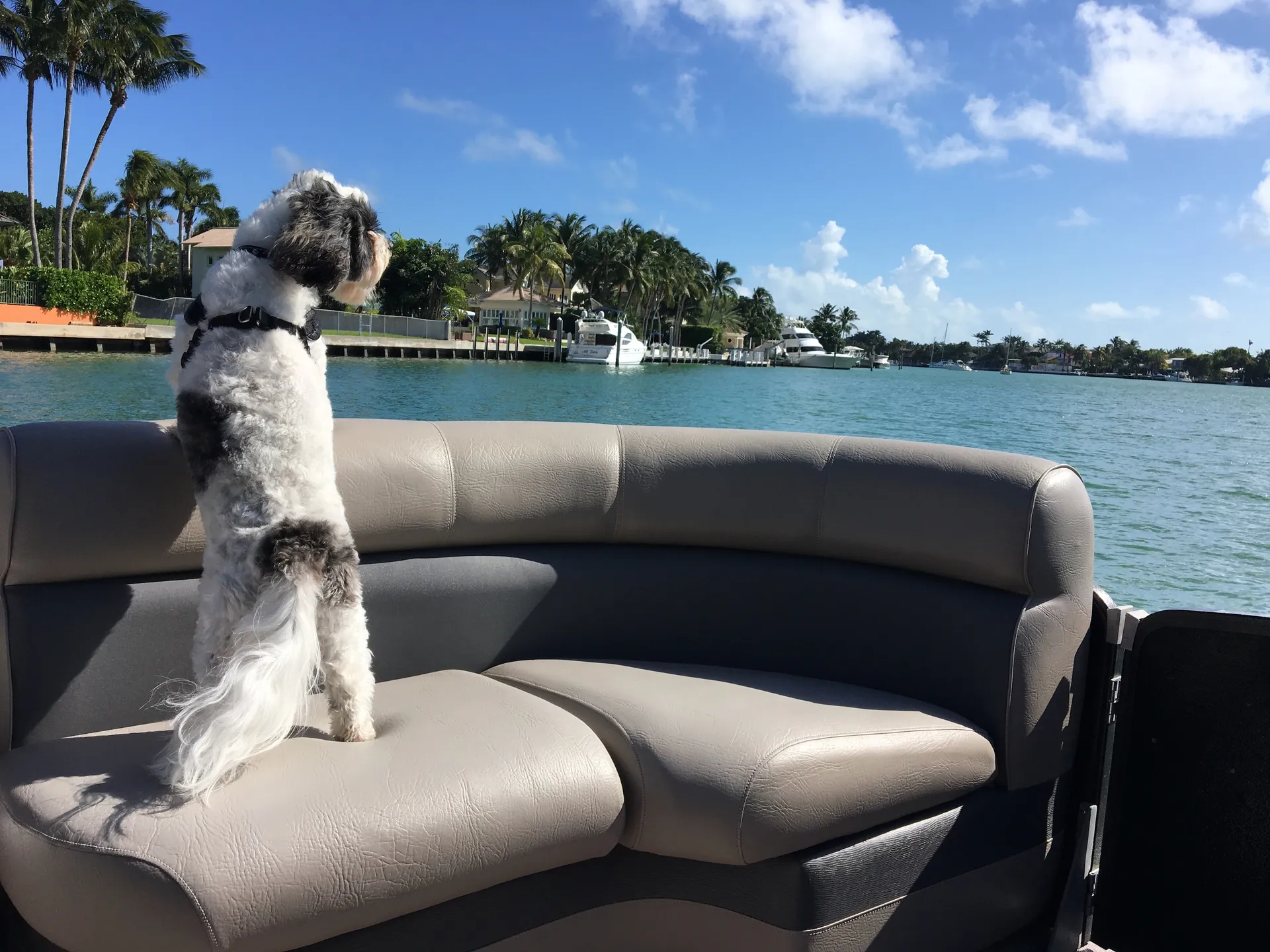 Bennington Marine 22SSX in Hollywood, FL — photo 7