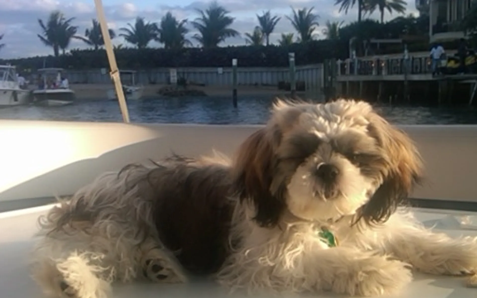 Come Boat with us! Boca Raton