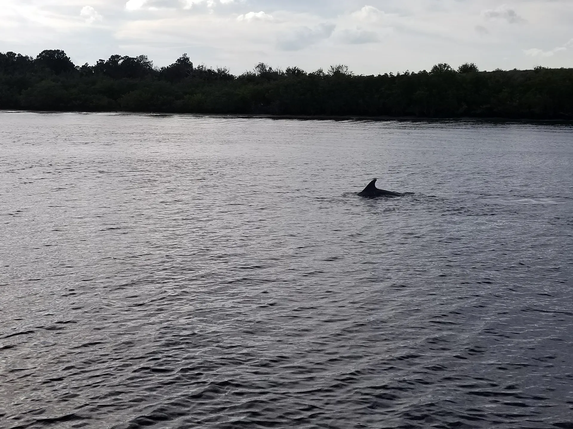 Charter this 36' Sea Ray Sport Yacht Today!