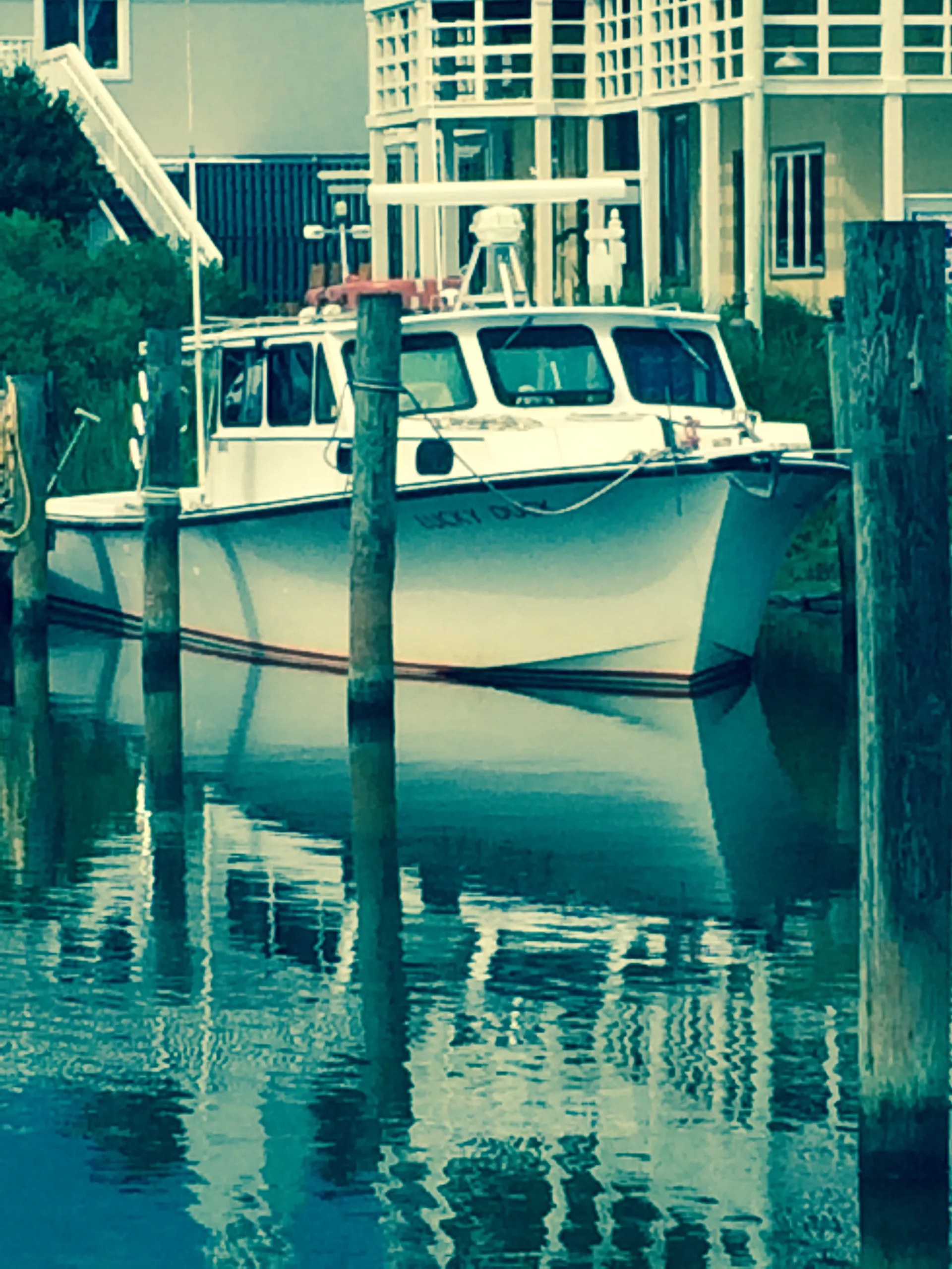 Beautiful Chesapeake Bay Fishing Charters 