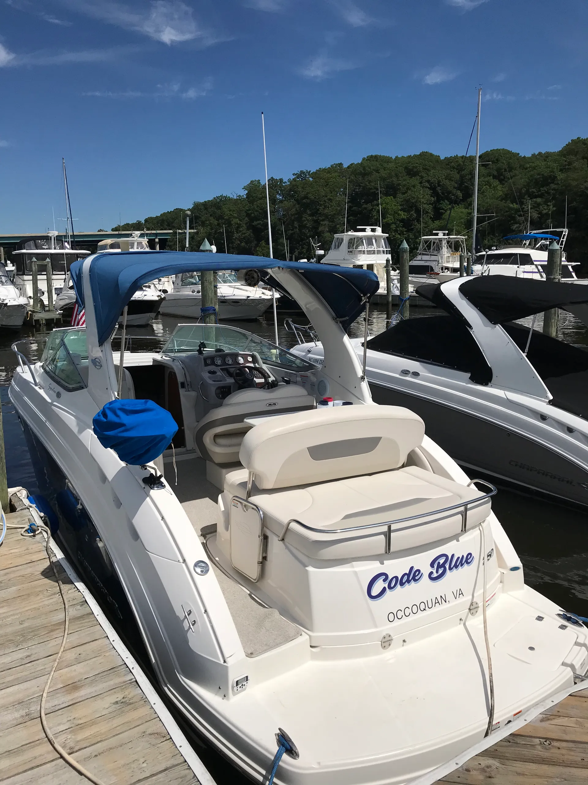 Chaparral Boats 250 Signature in Woodbridge, VA — photo 4