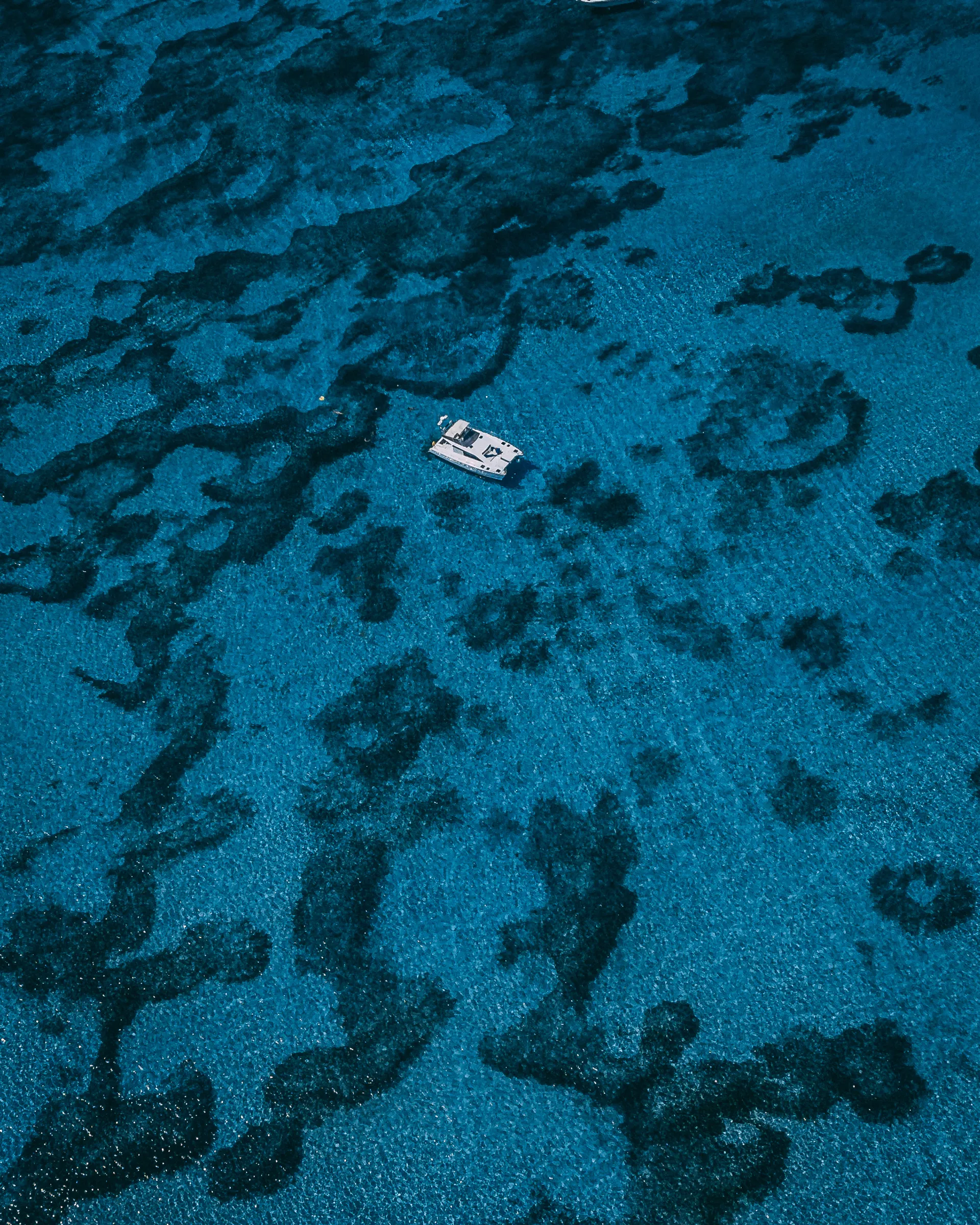 Jeantot Privilege 43 Catamaran in Cancún, Q.R. — photo 2