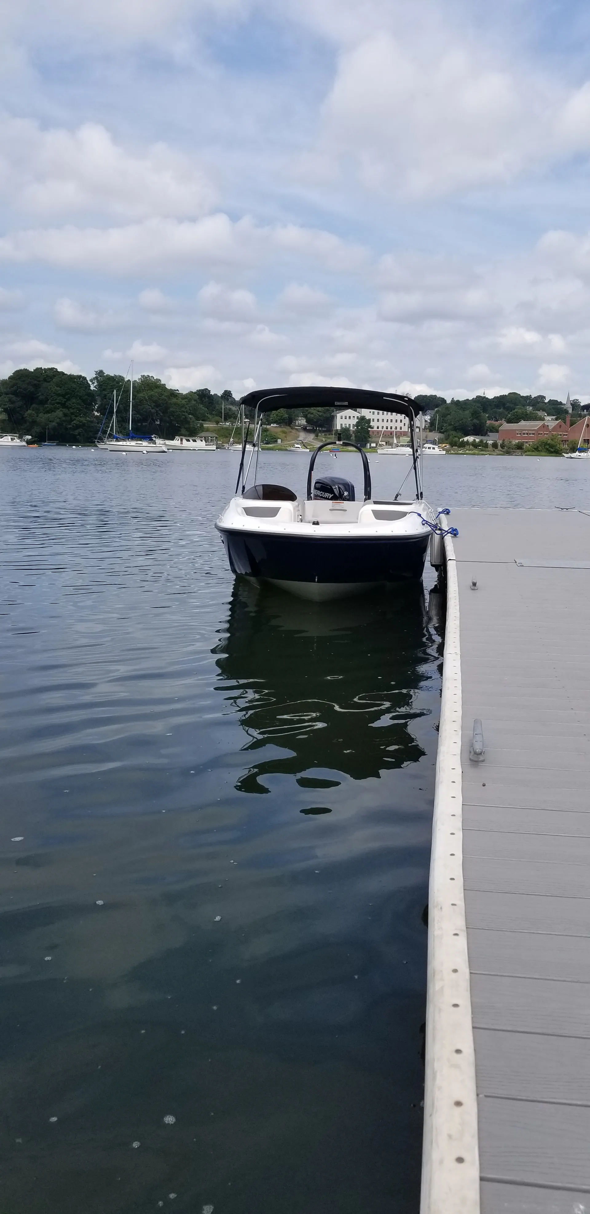 Bayliner Element XL 4-S Mercury  in Cranston, RI — photo 7