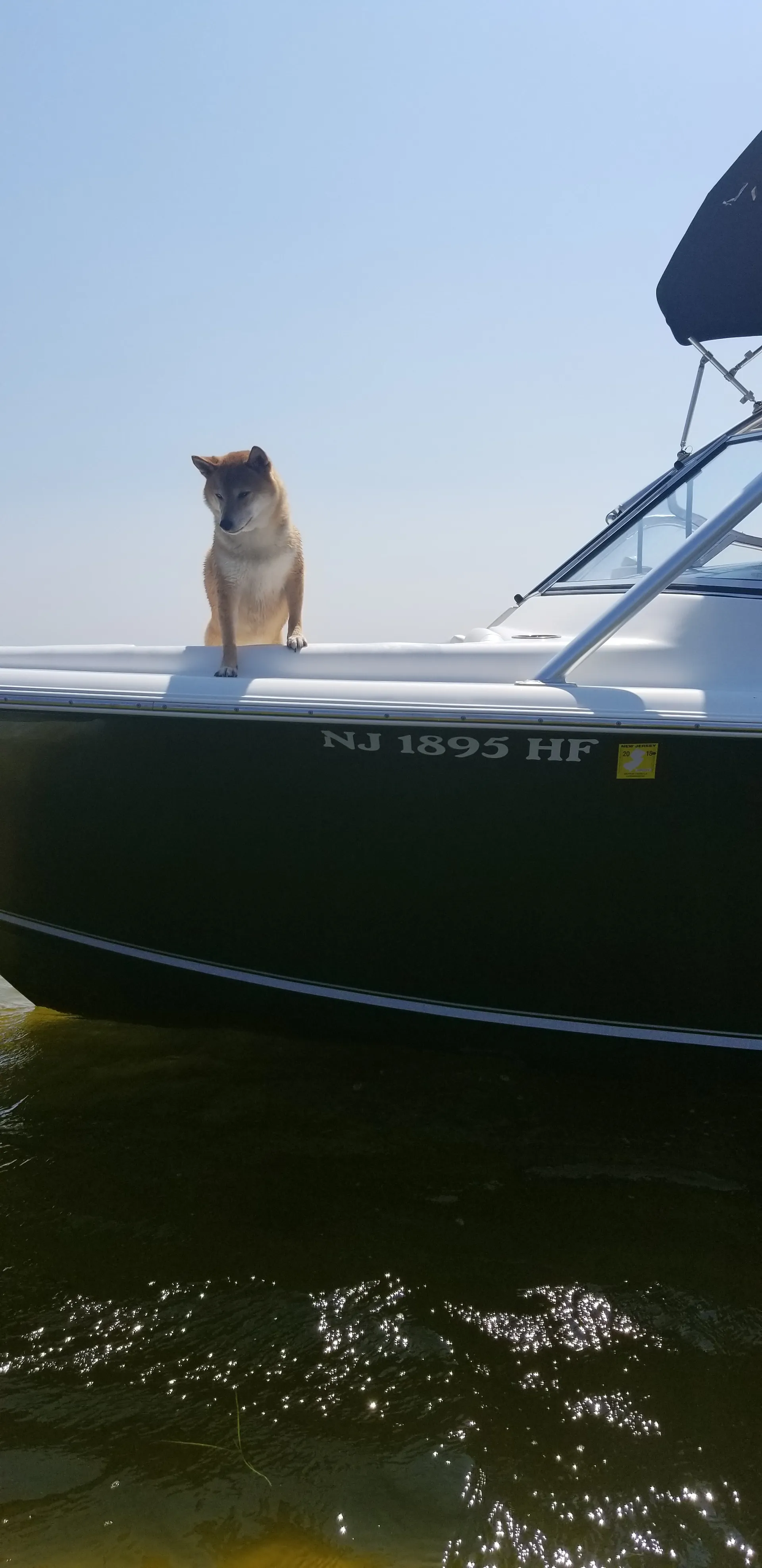 23' Sea Hunt for cruising or fishing in Berkeley Township, NJ!