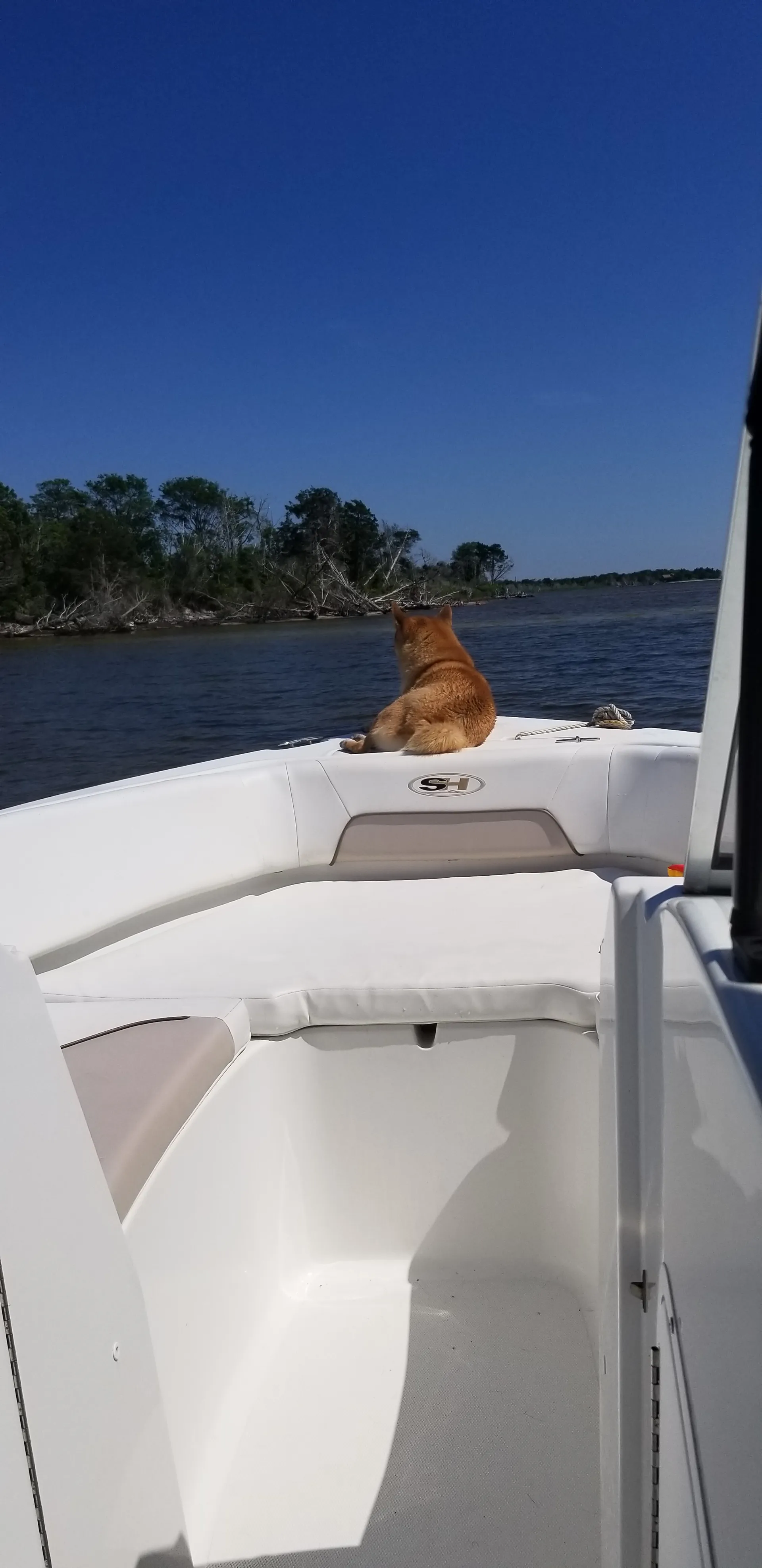 23' Sea Hunt for cruising or fishing in Berkeley Township, NJ!