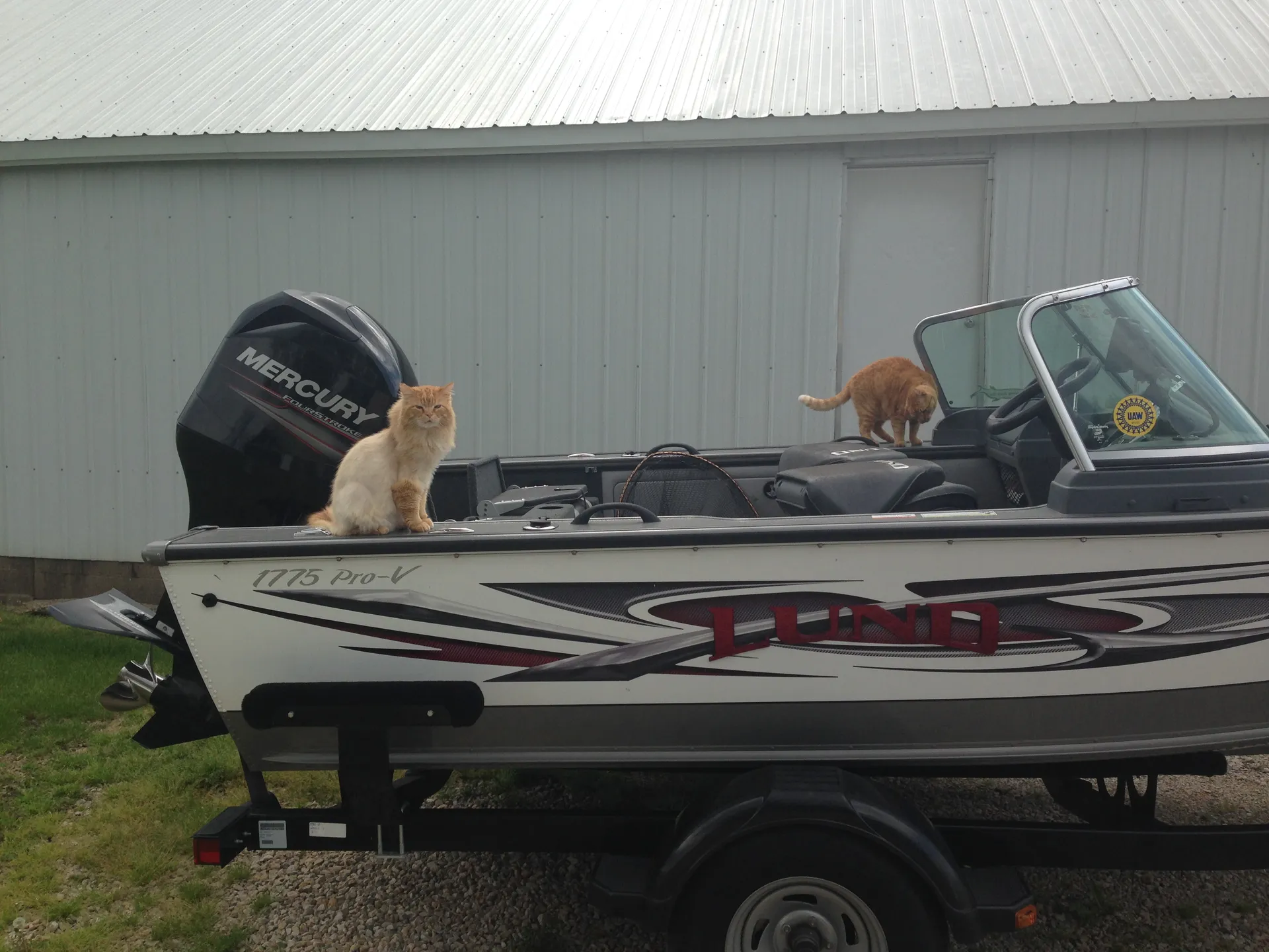 boat