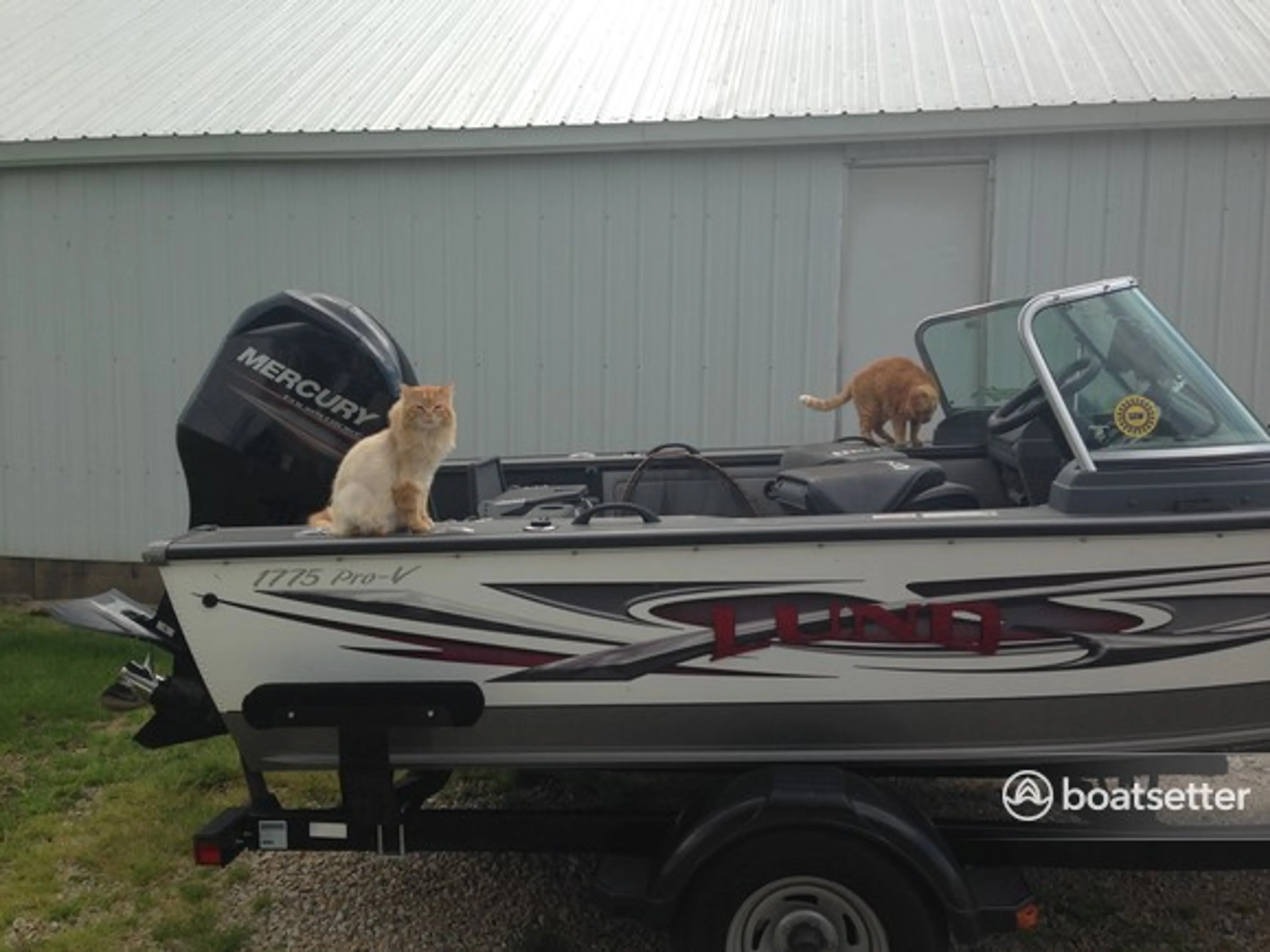 boat