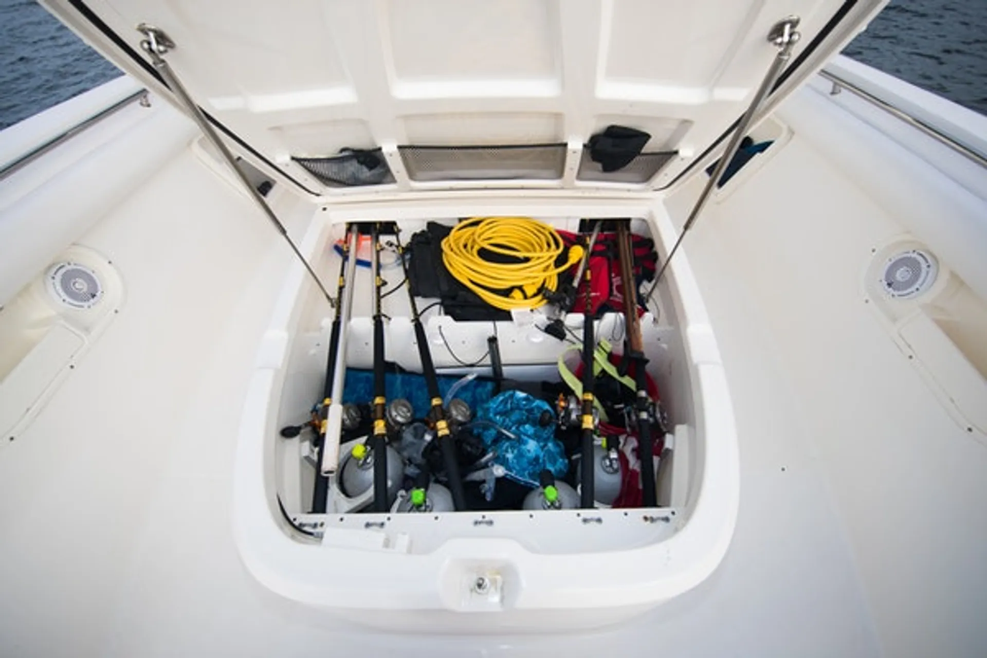 The Ultimate Adventure onboard the Boston Whaler!