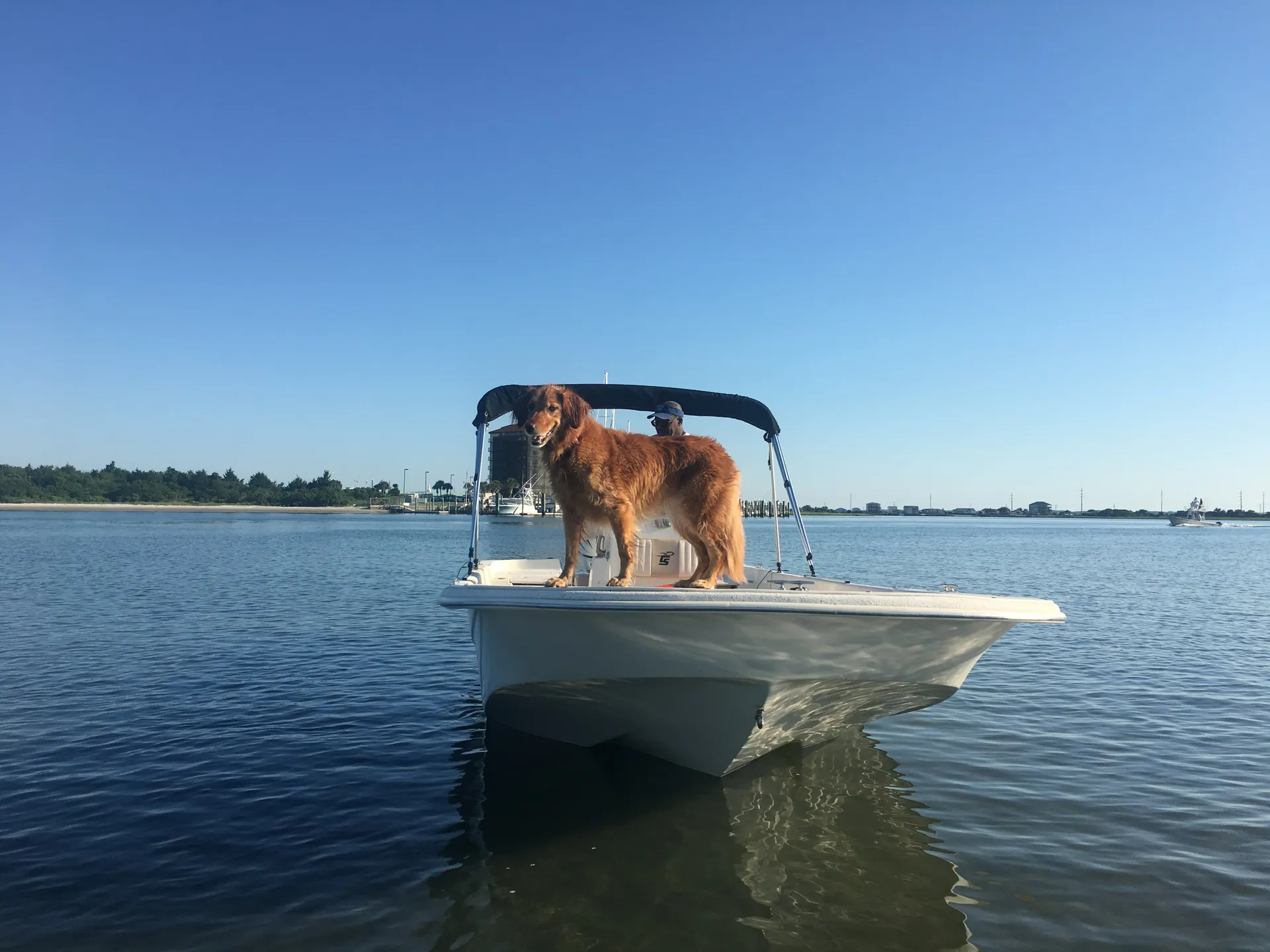 boat
