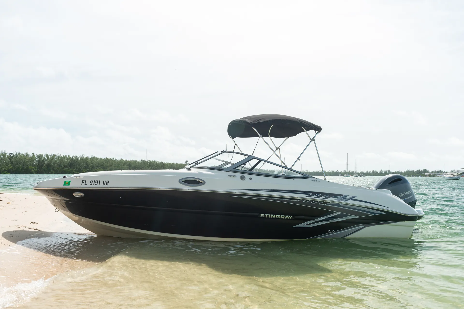 Stingray Boats 234LR w/150 4-S Mercury in Key Biscayne, FL — photo 6