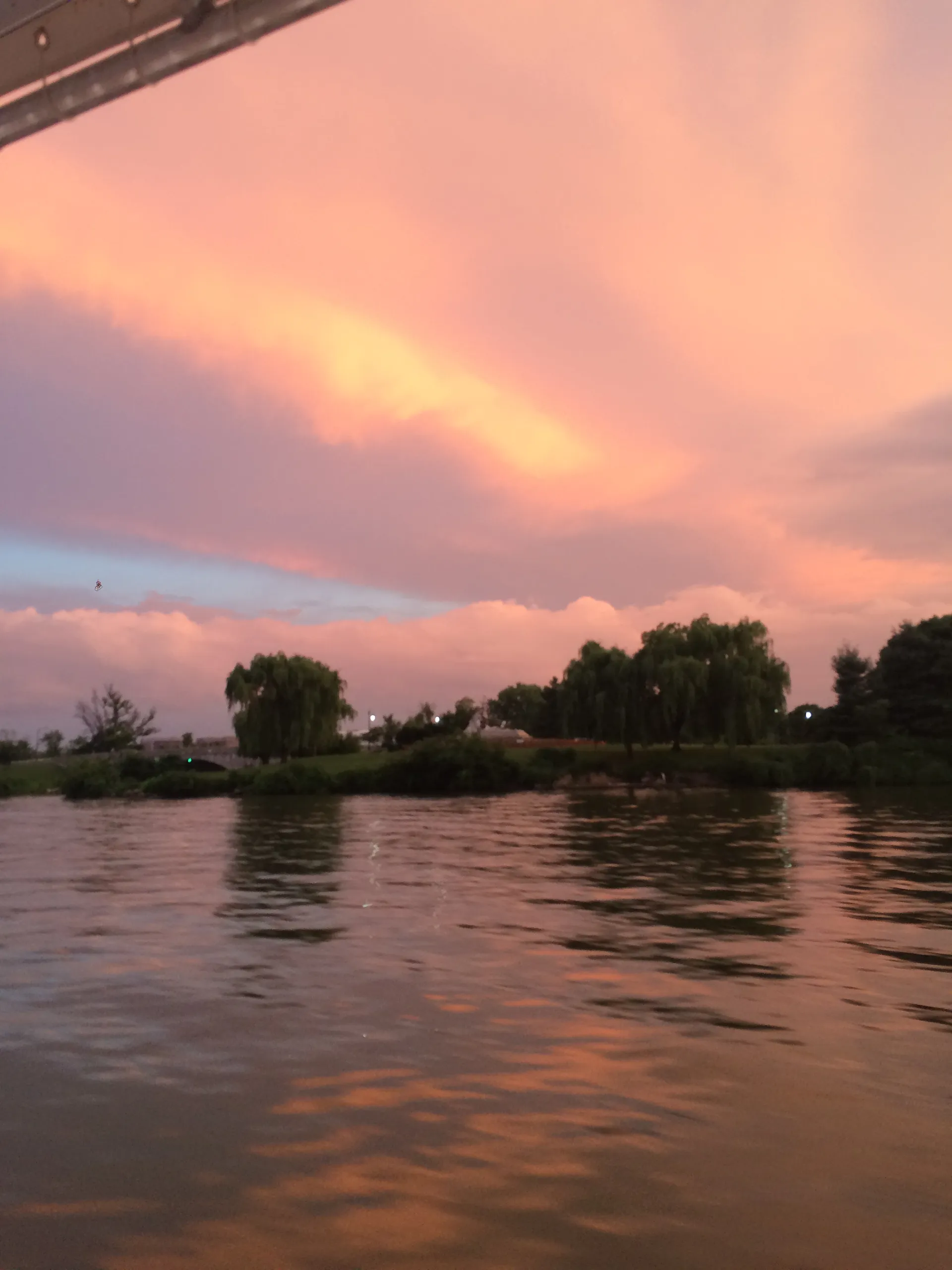 Cobia Boats 235 CC w/F250 Yamaha in Arlington, VA — photo 6