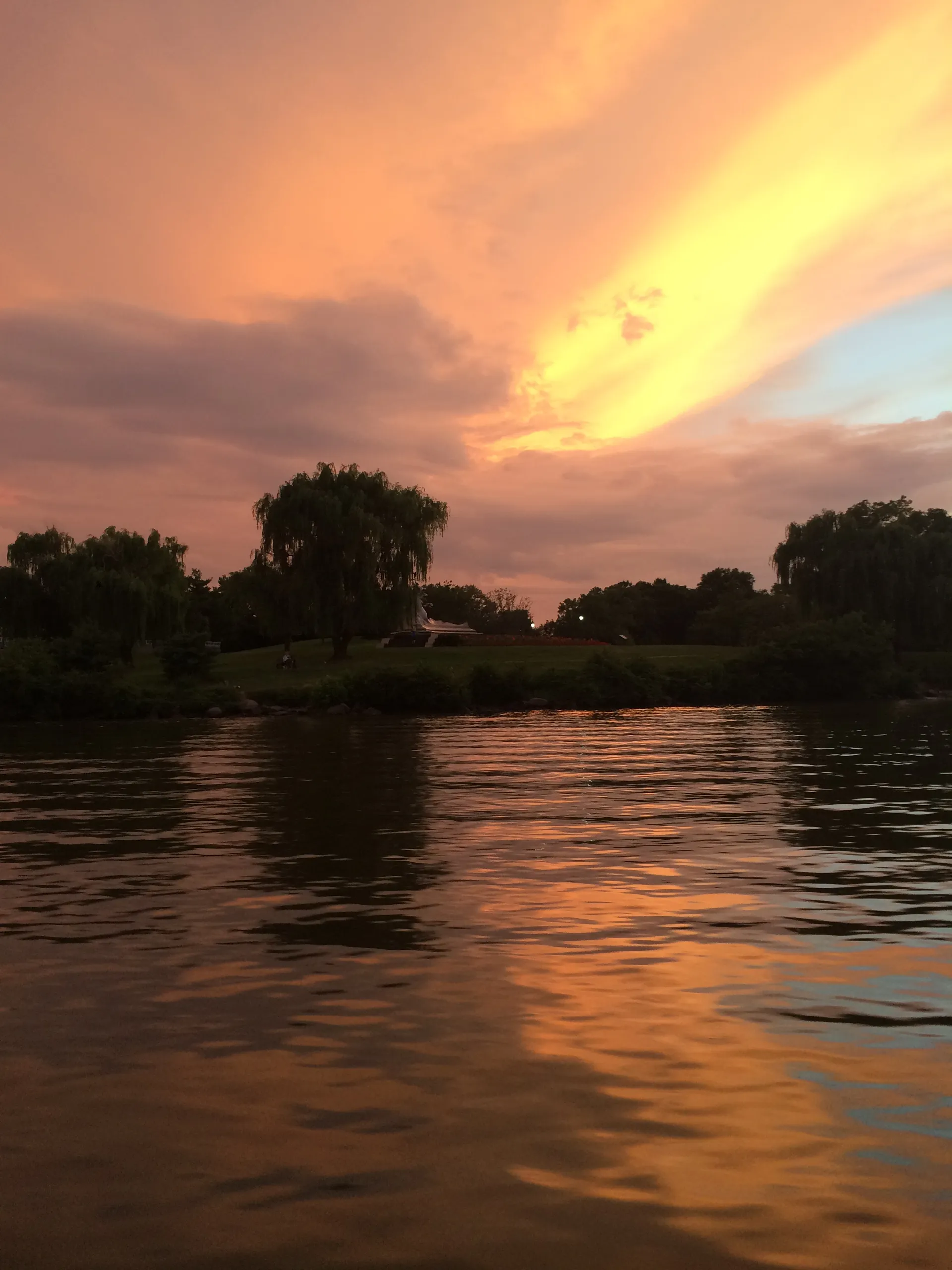 Cobia Boats 235 CC w/F250 Yamaha in Arlington, VA — photo 7