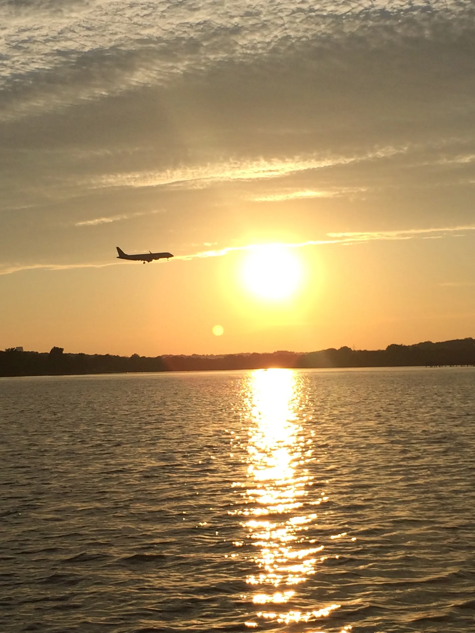 Cobia Boats 235 CC w/F250 Yamaha in Arlington, VA — photo 9