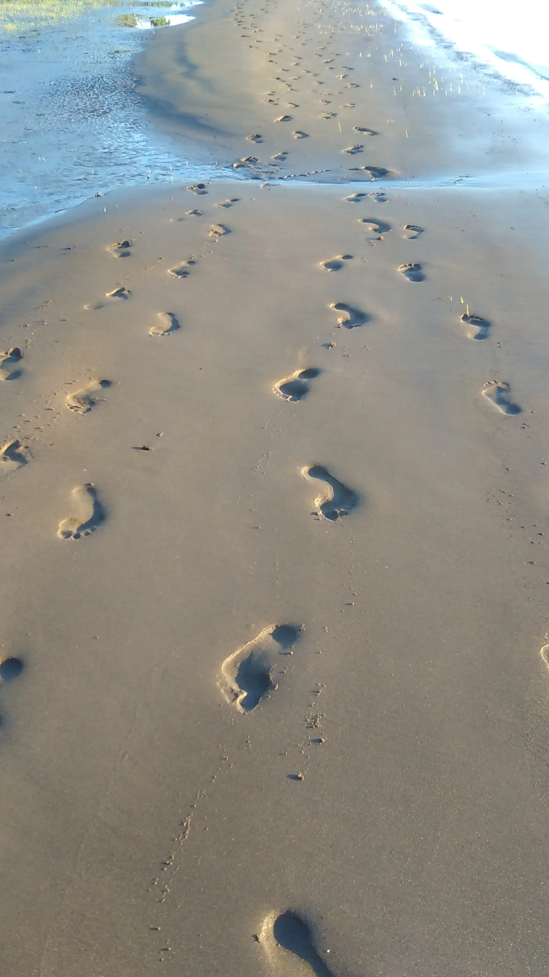 From Warren St to the Hudson River. Come Explore!