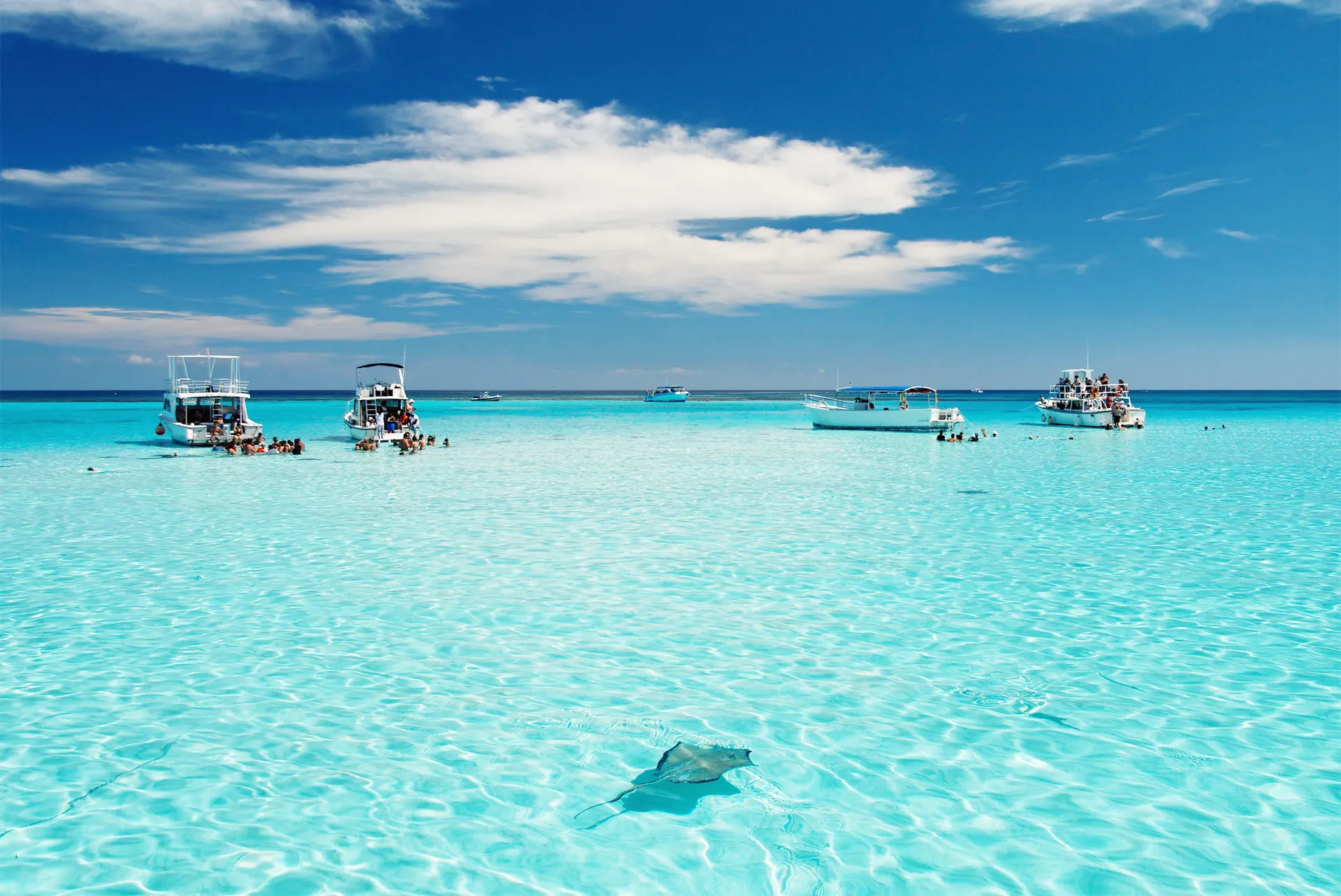 Contender Boats 35 Tournament in Tierra Verde, FL — photo 9