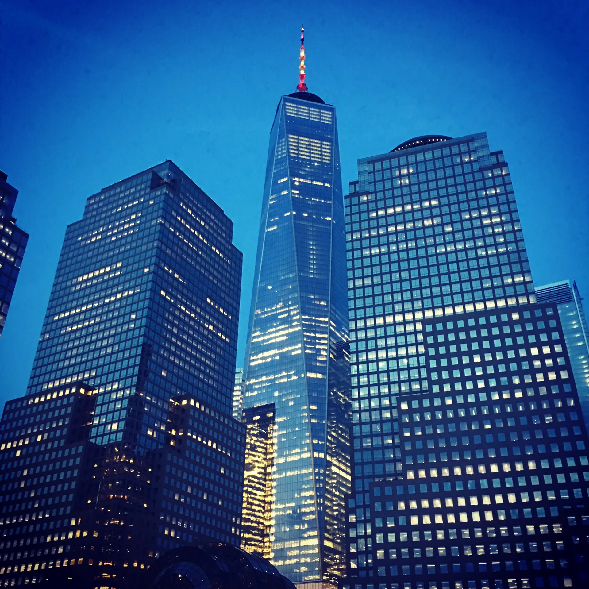 Experience the Beauty of New York Harbor 