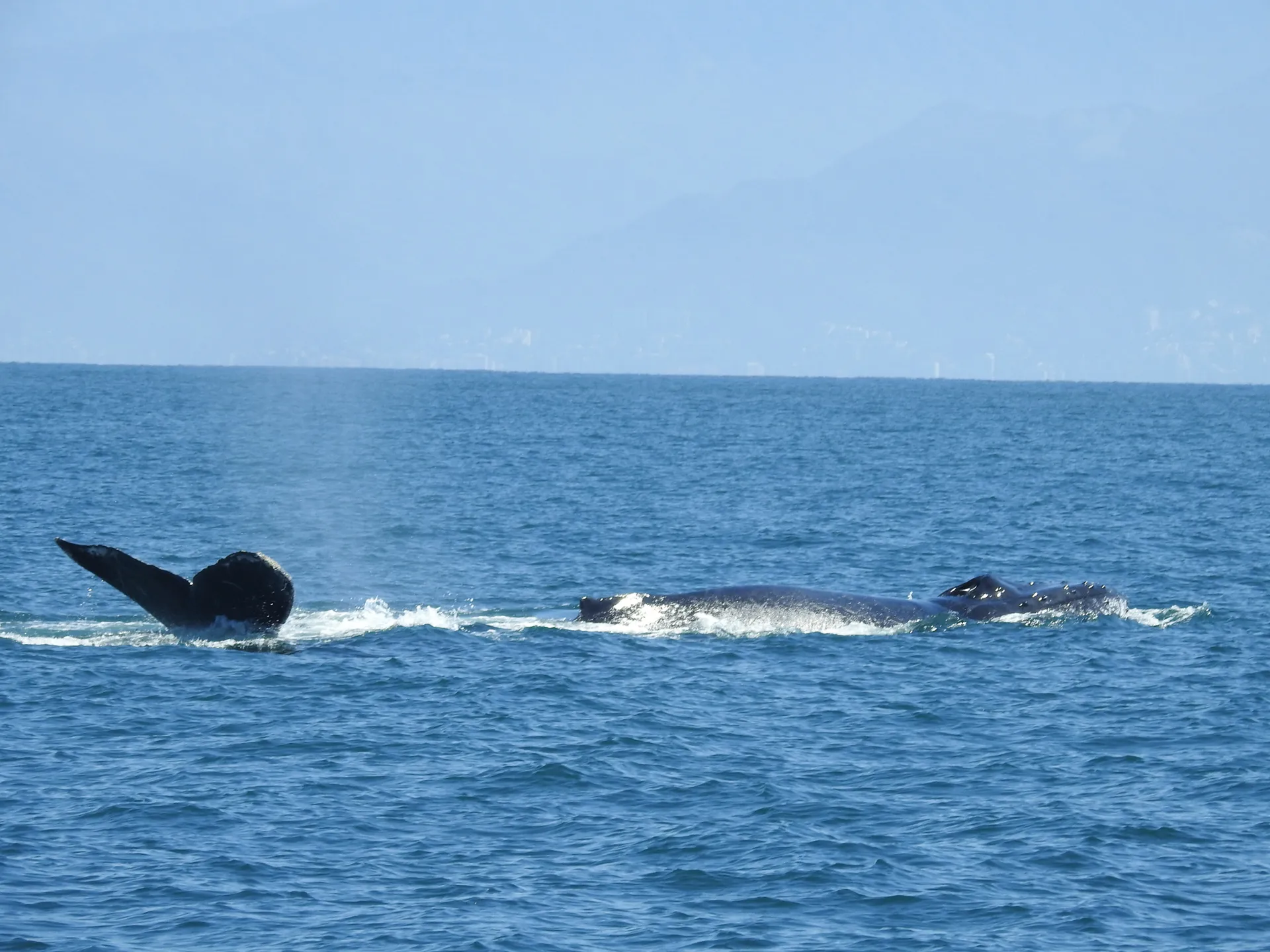 48' Beneteau Gran Turismo Sport Yacht
