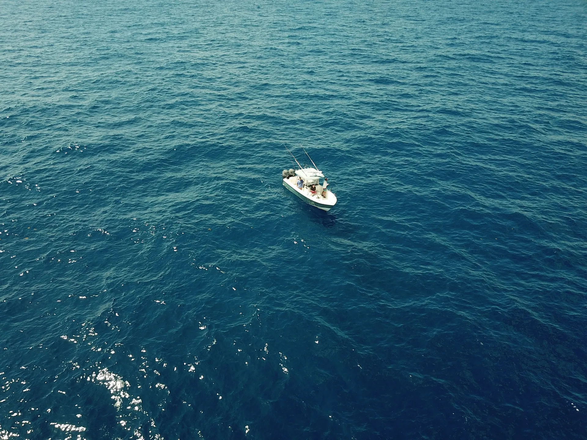 Blue Water Boats Voyager in Boca Raton, FL — photo 3
