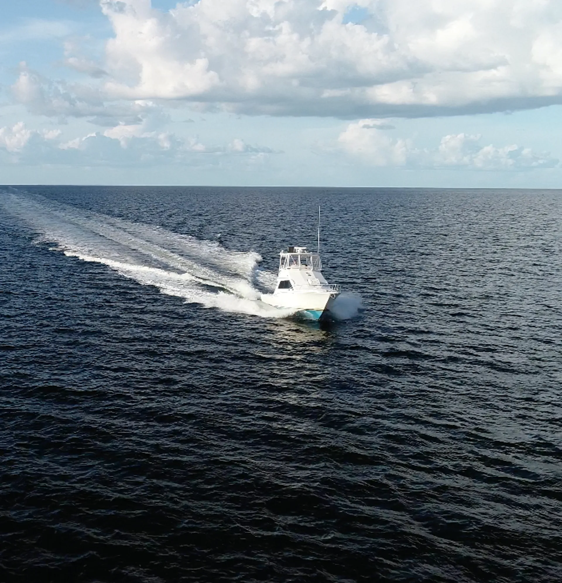 Cabo Yachts 35 Flybridge in Dunedin, FL — photo 4