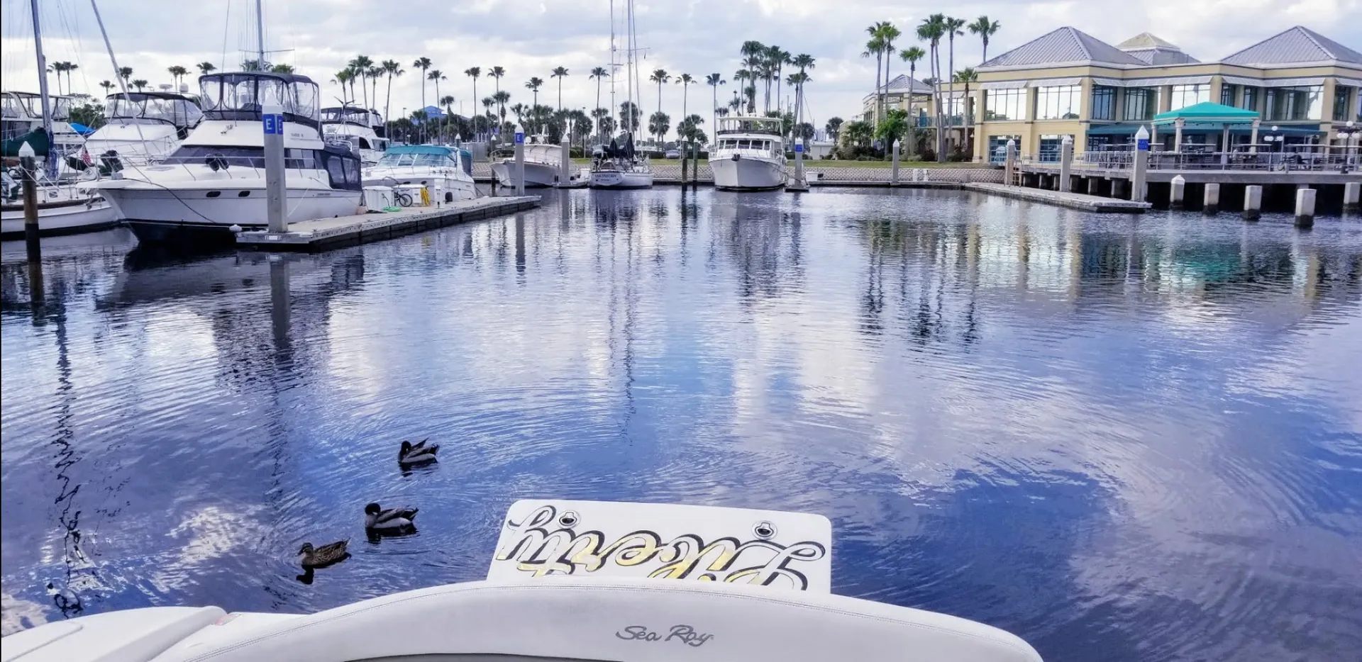 Charter this 36' Sea Ray Sport Yacht Today!